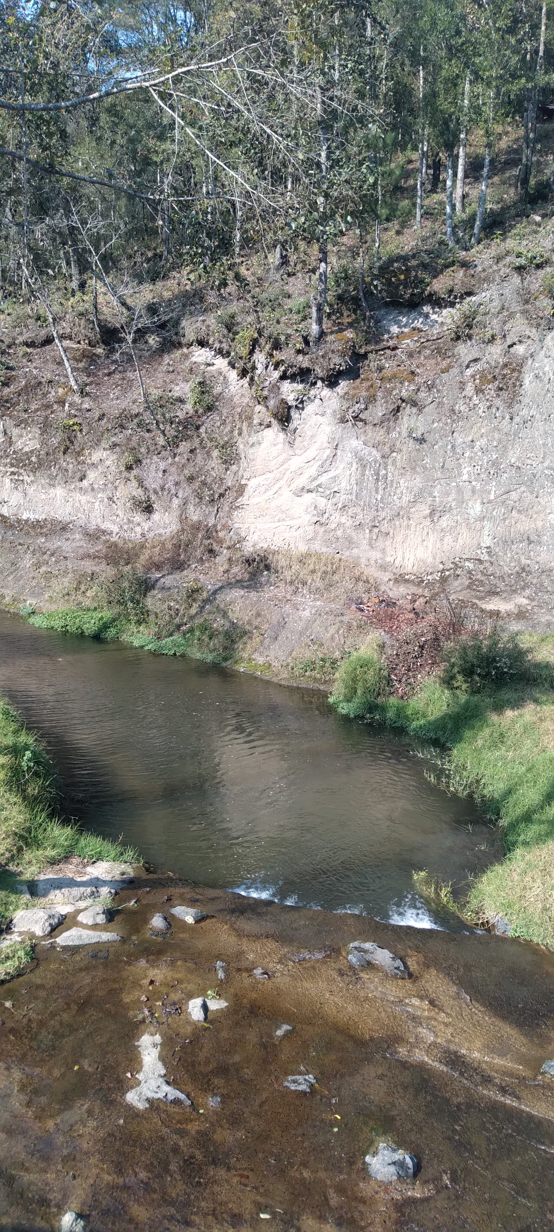 Truchas Ejecayan image 10