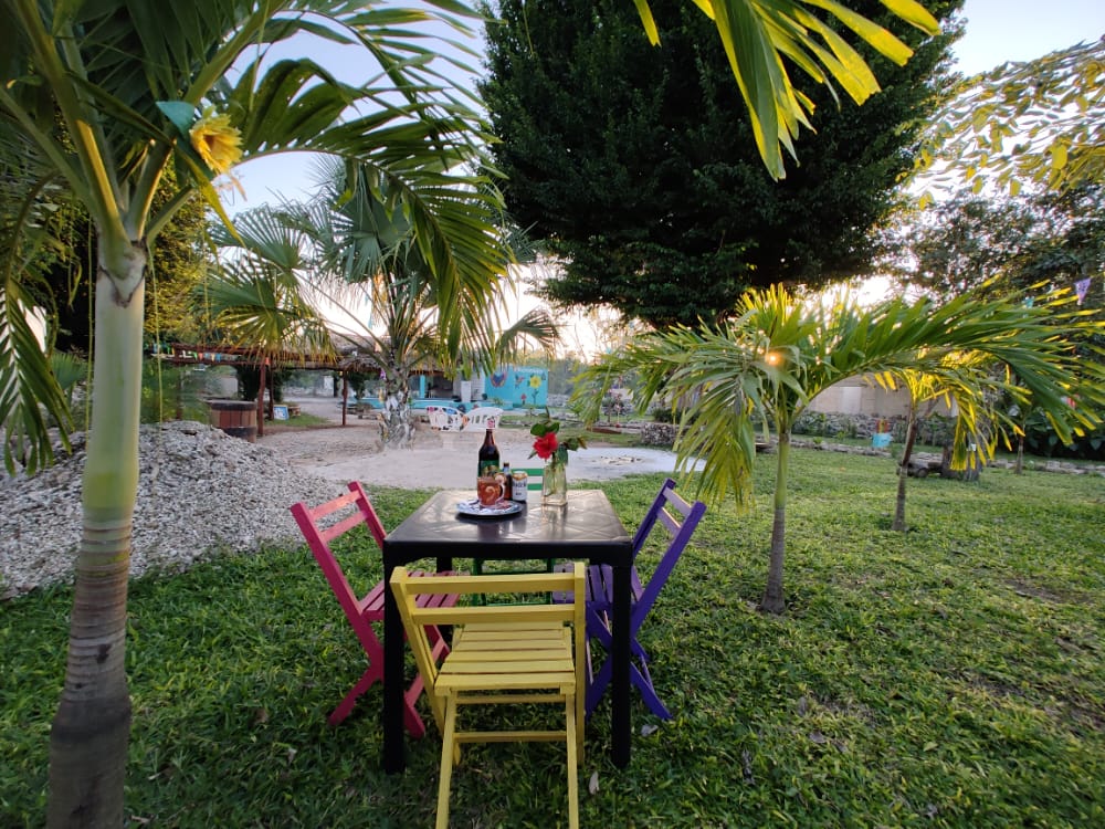 El ramonal de los abuelos image 1