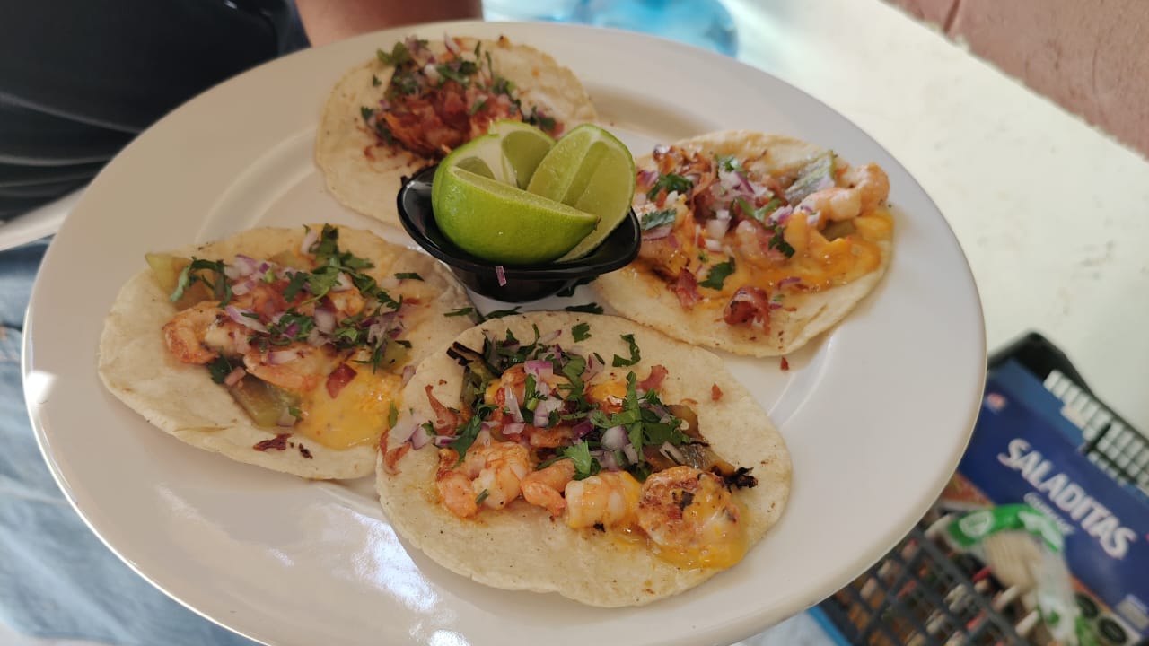 El ramonal de los abuelos image 10