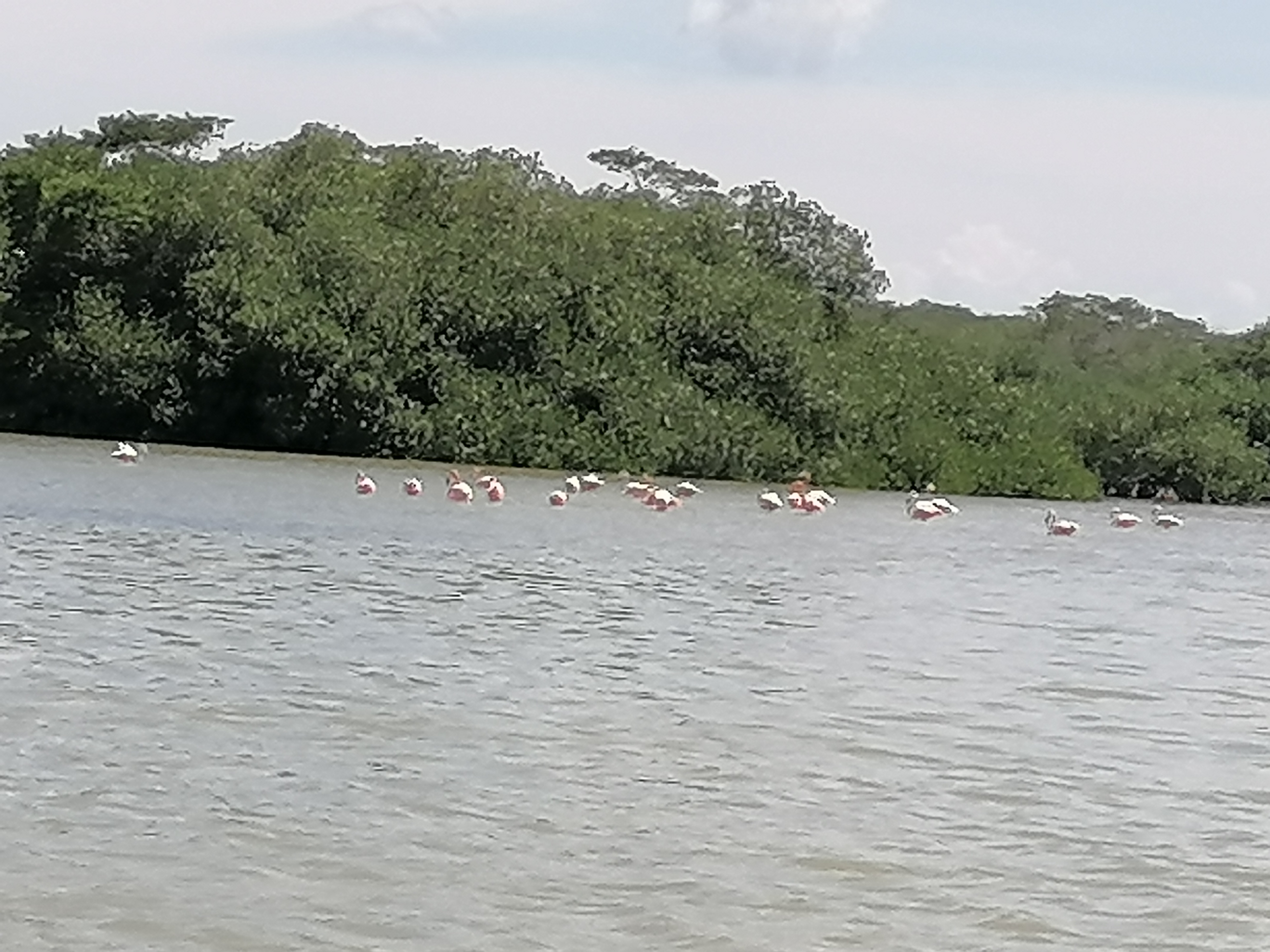 Restaurante "Sayachaltun" image 4