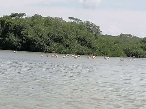 Restaurante "Sayachaltun" image 4