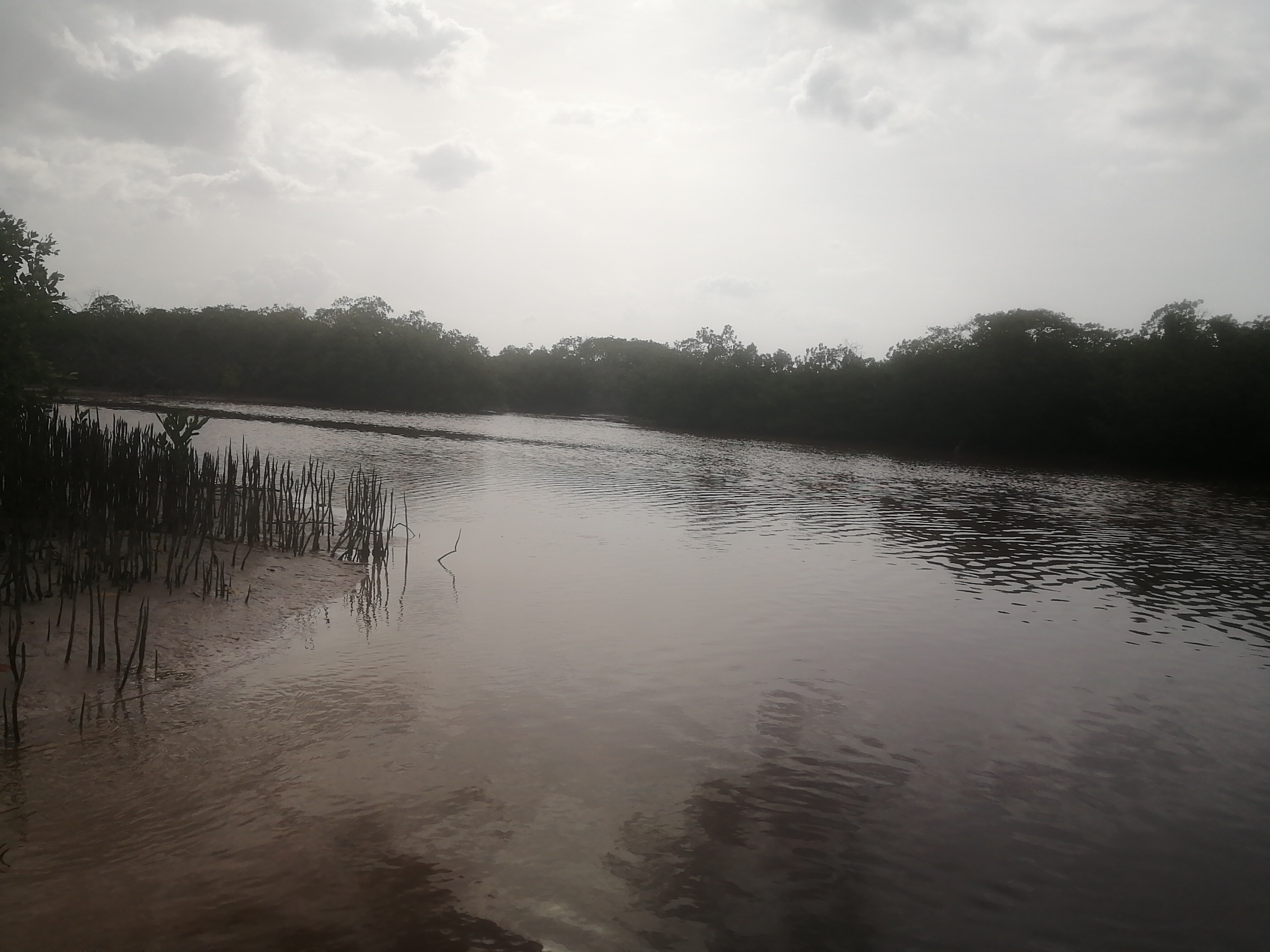 Restaurante "Sayachaltun" image 6
