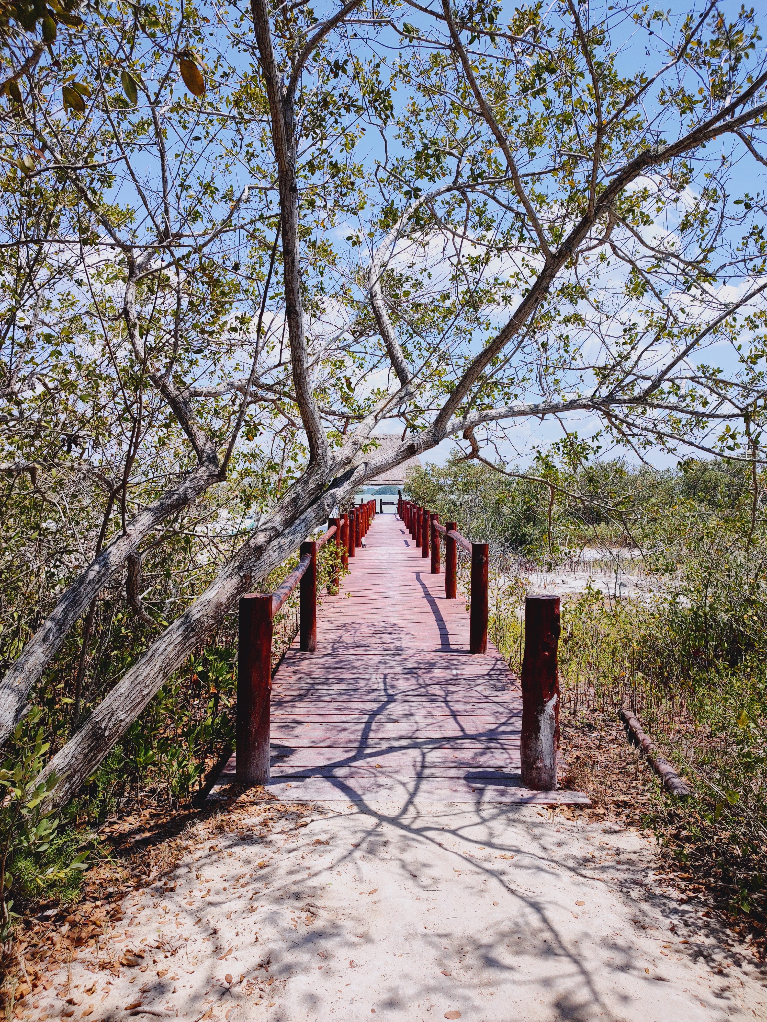Restaurante "Sayachaltun" image 7