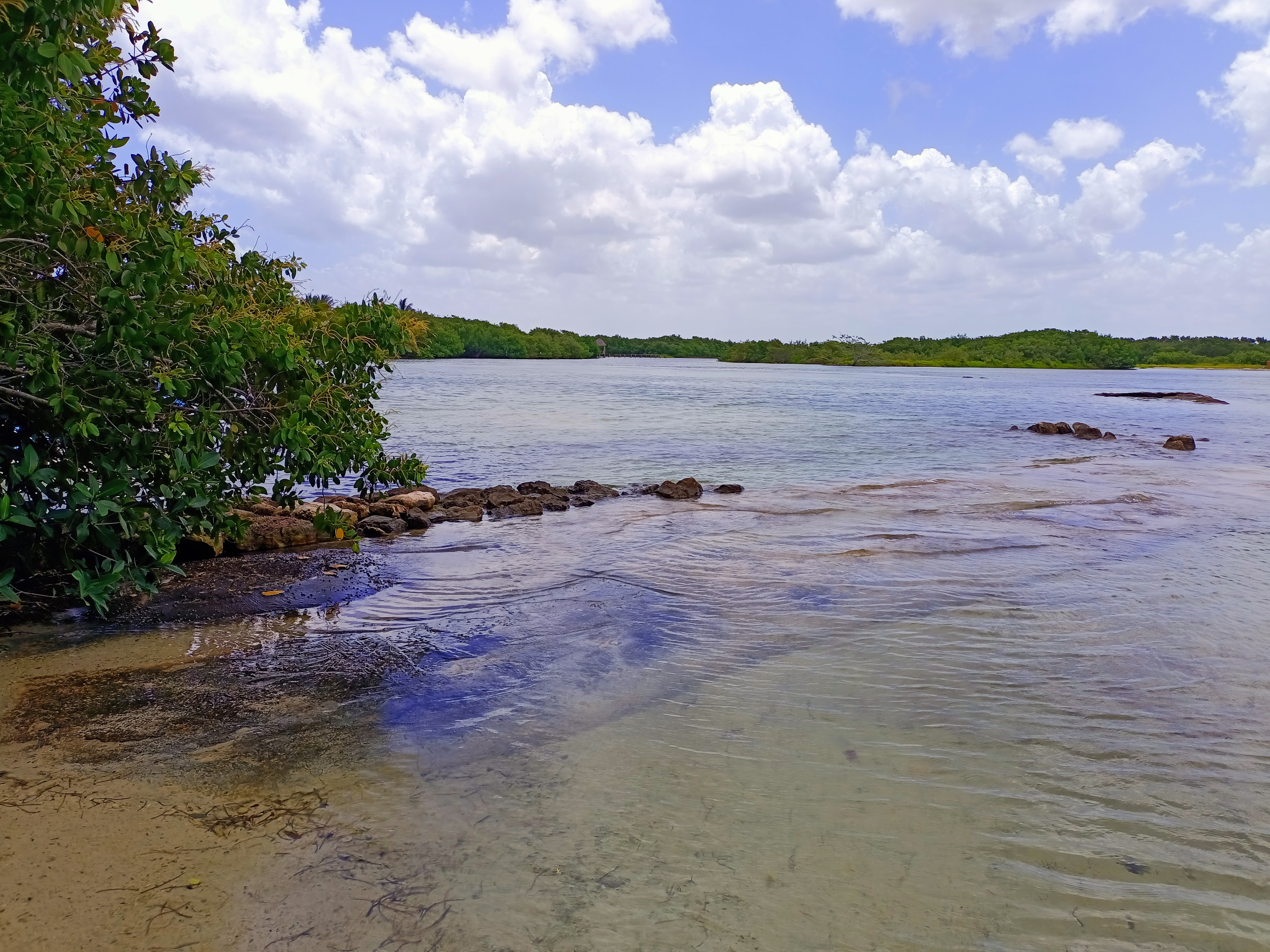 Restaurante El Puente image 3