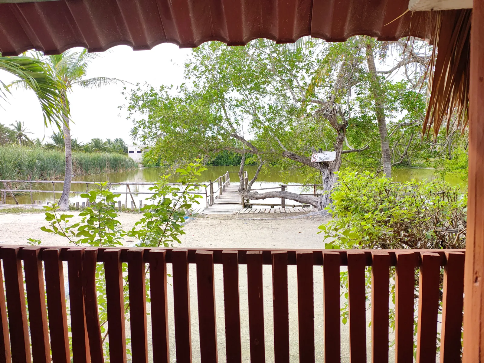 La Lagunita image 3