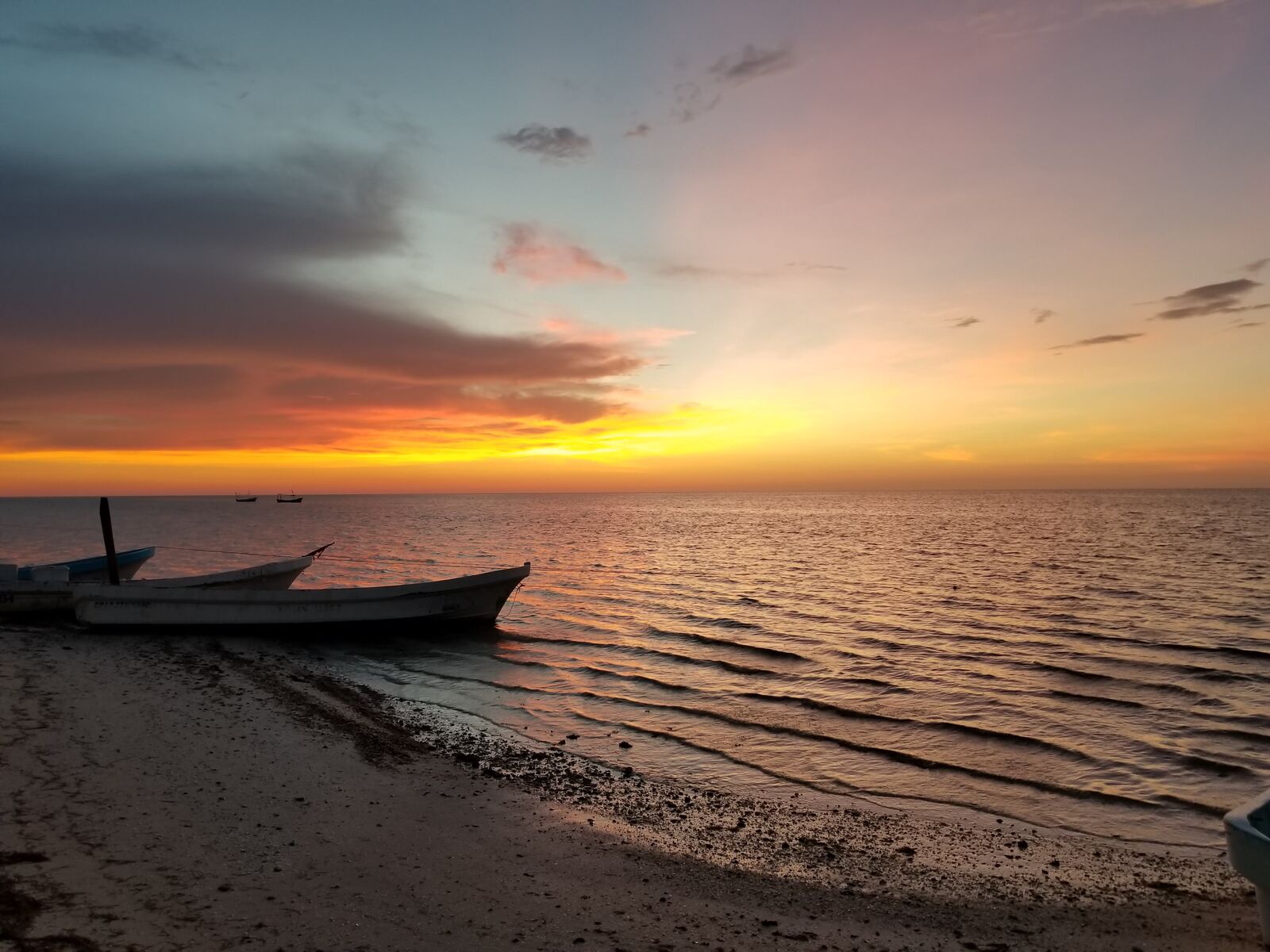 La Lagunita image 6