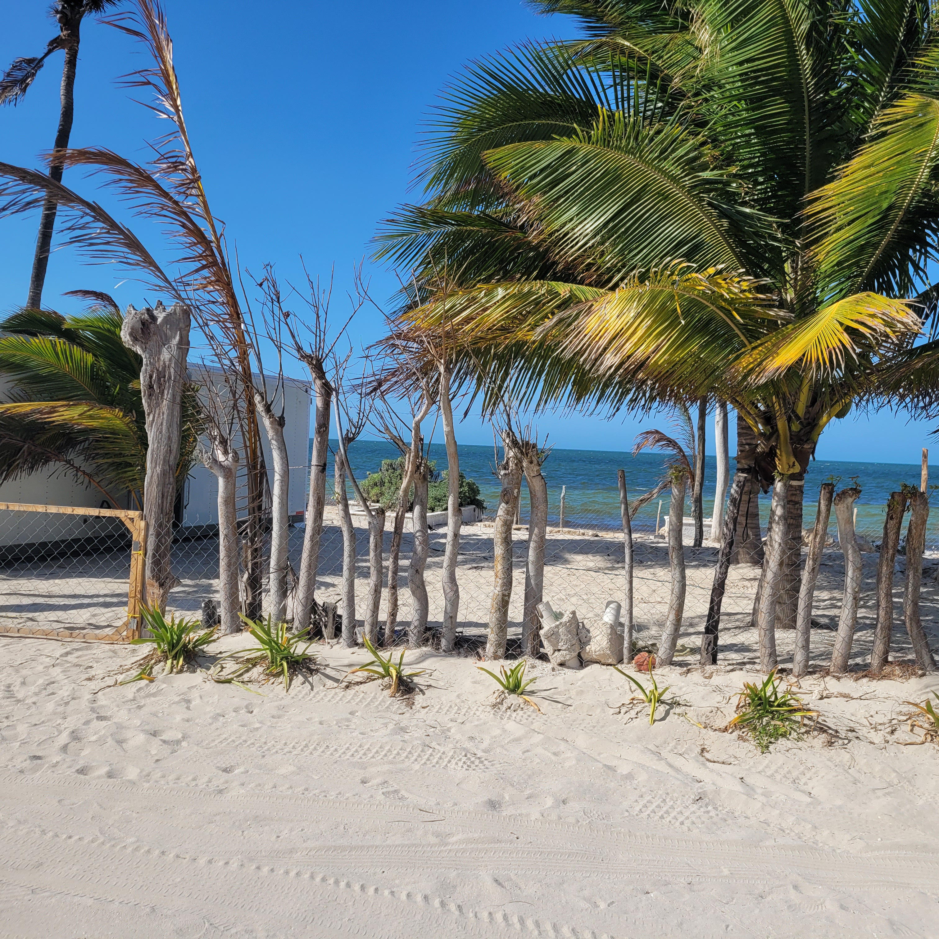 Restaurante "La Palapa" image 10