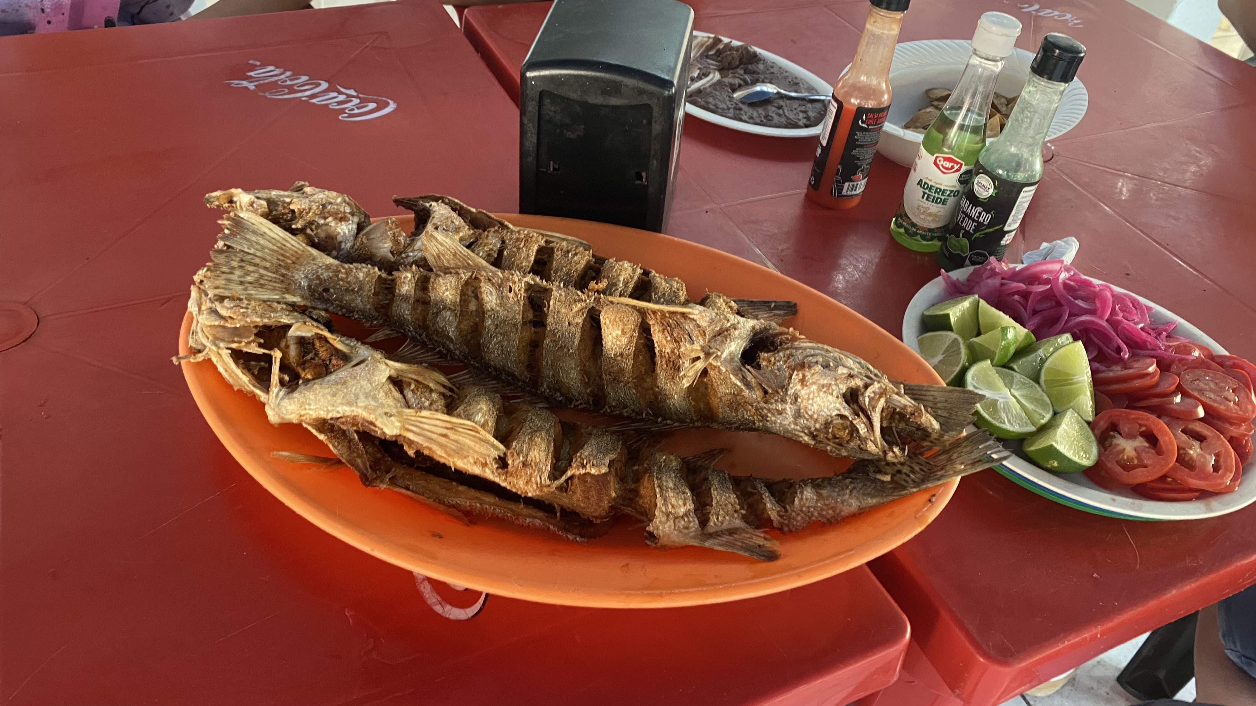 Restaurante: La Milpa de Valerio image 2