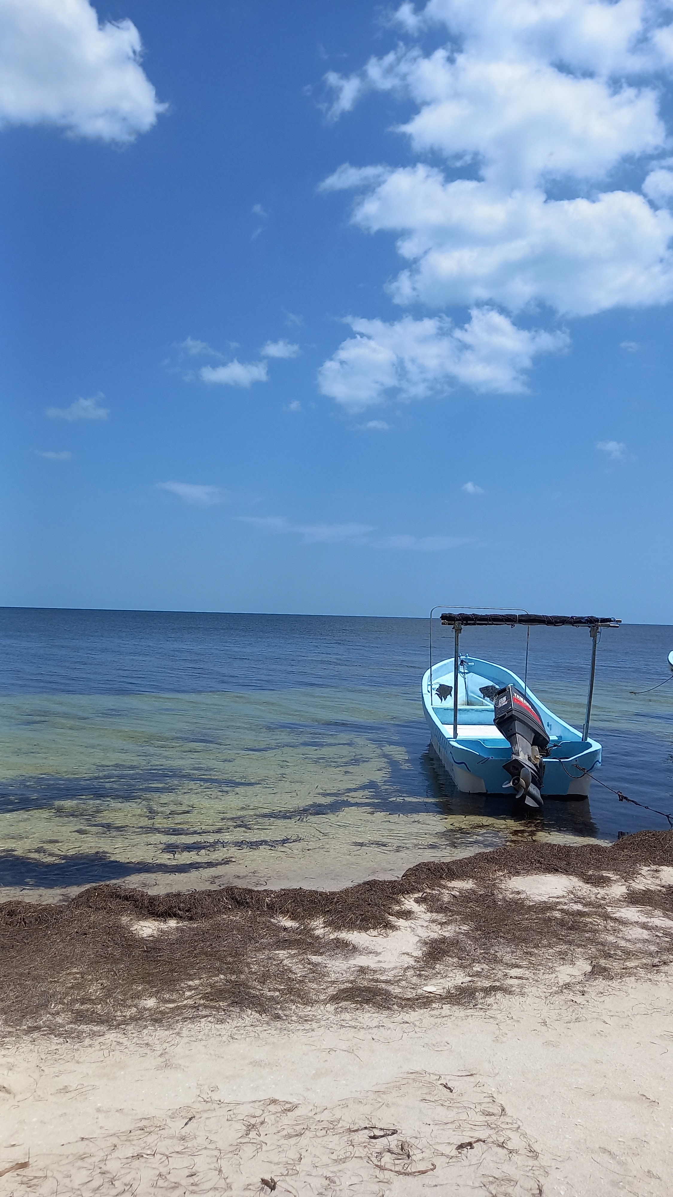 RESTAURANT EL MARLIN image 5