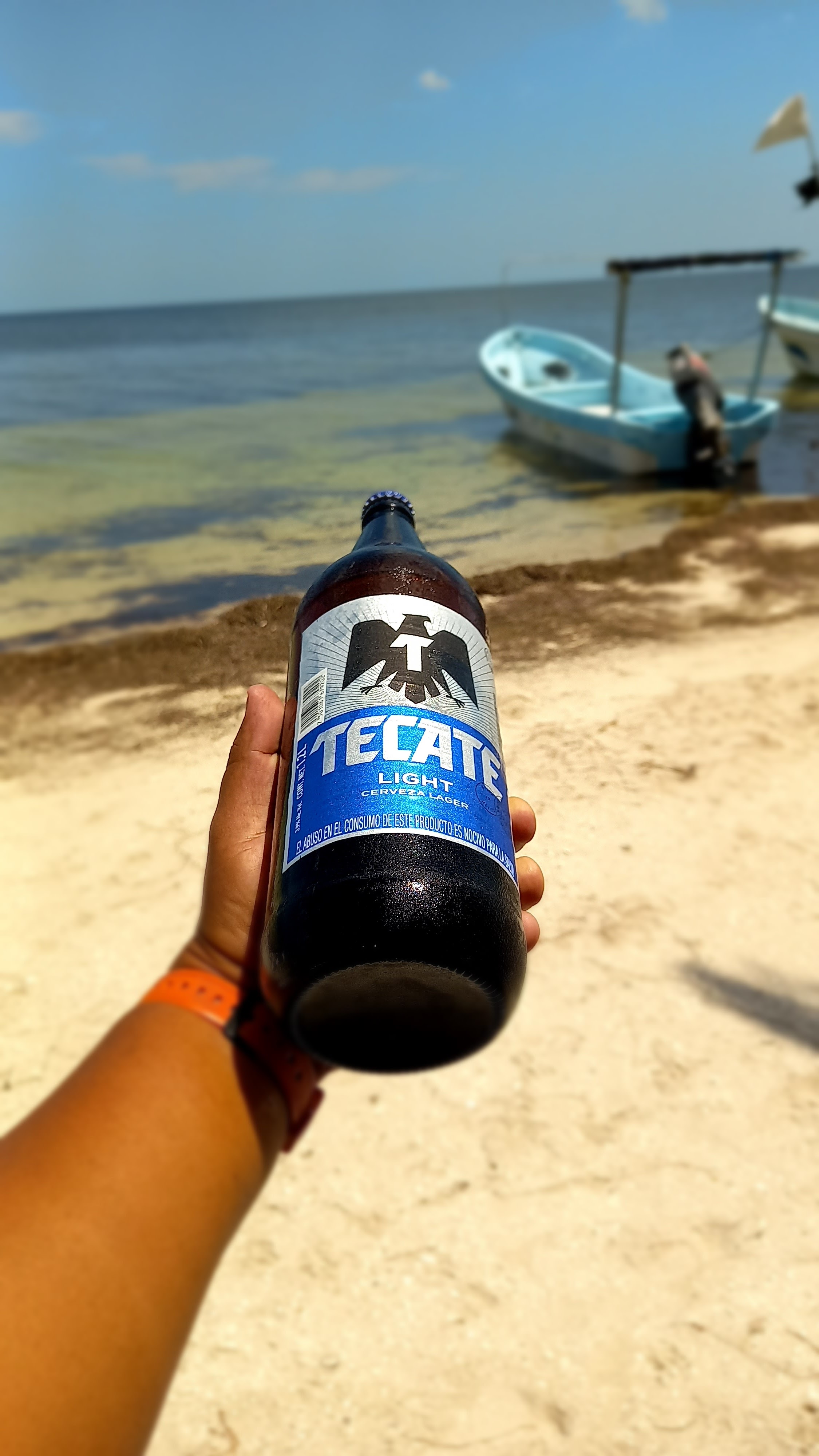 RESTAURANT EL MARLIN image 8