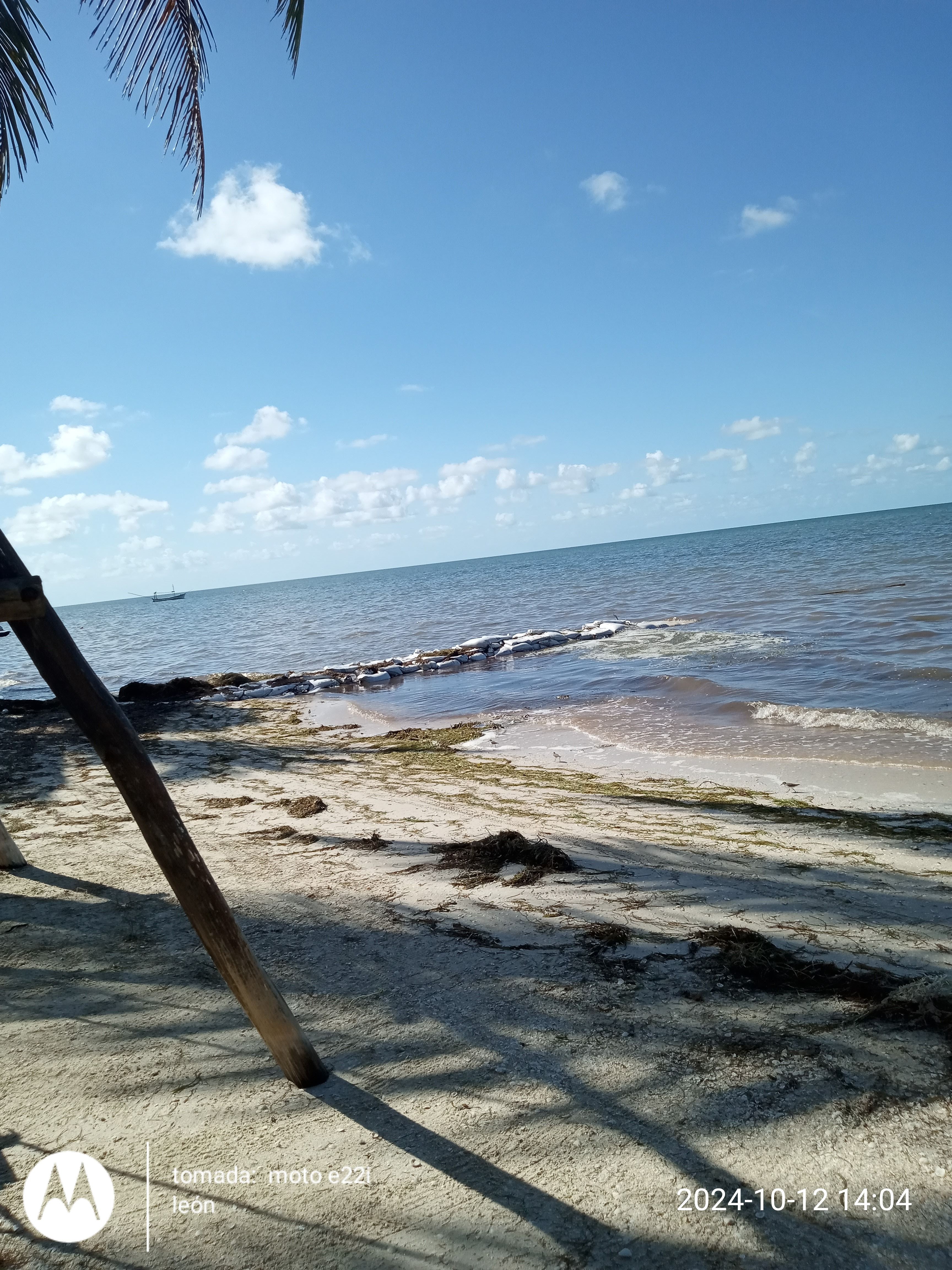 RESTAURANT EL MARLIN image 10