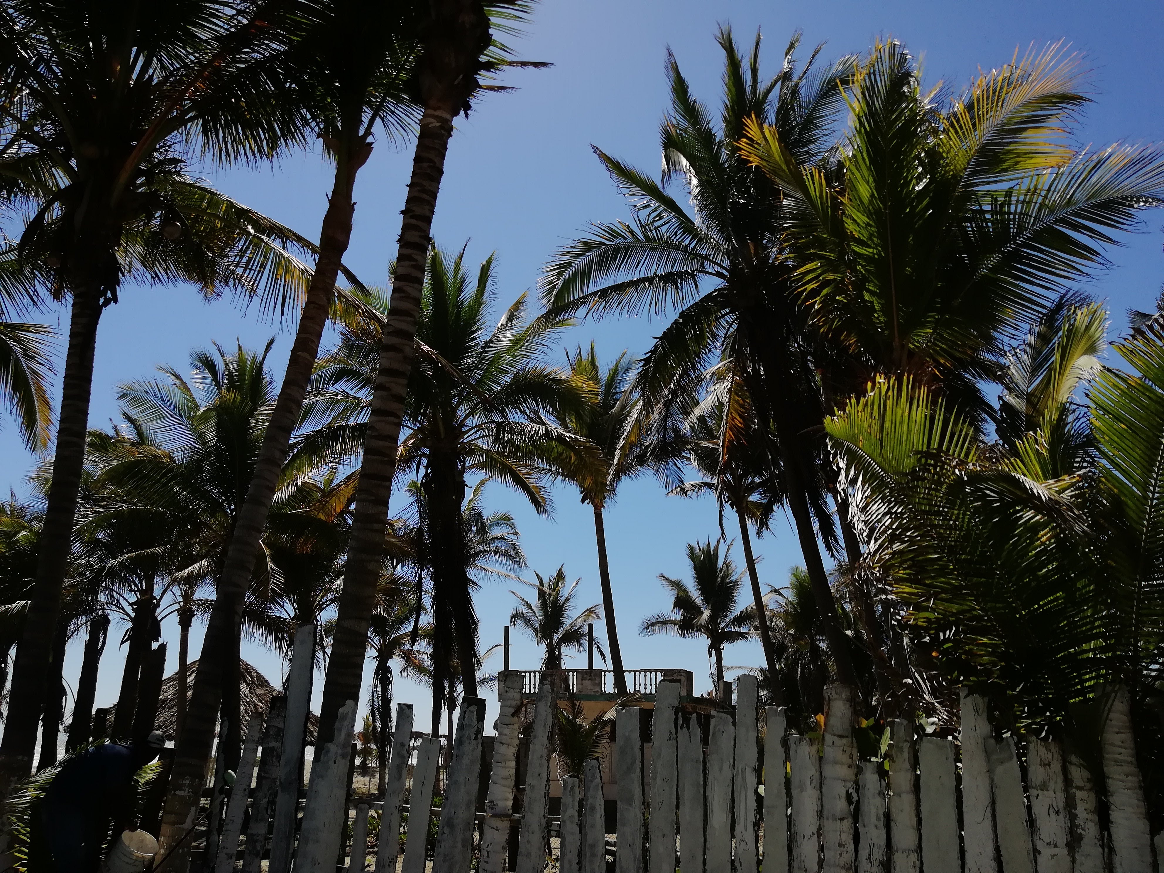 Akumal-Restaurant Bar image 2