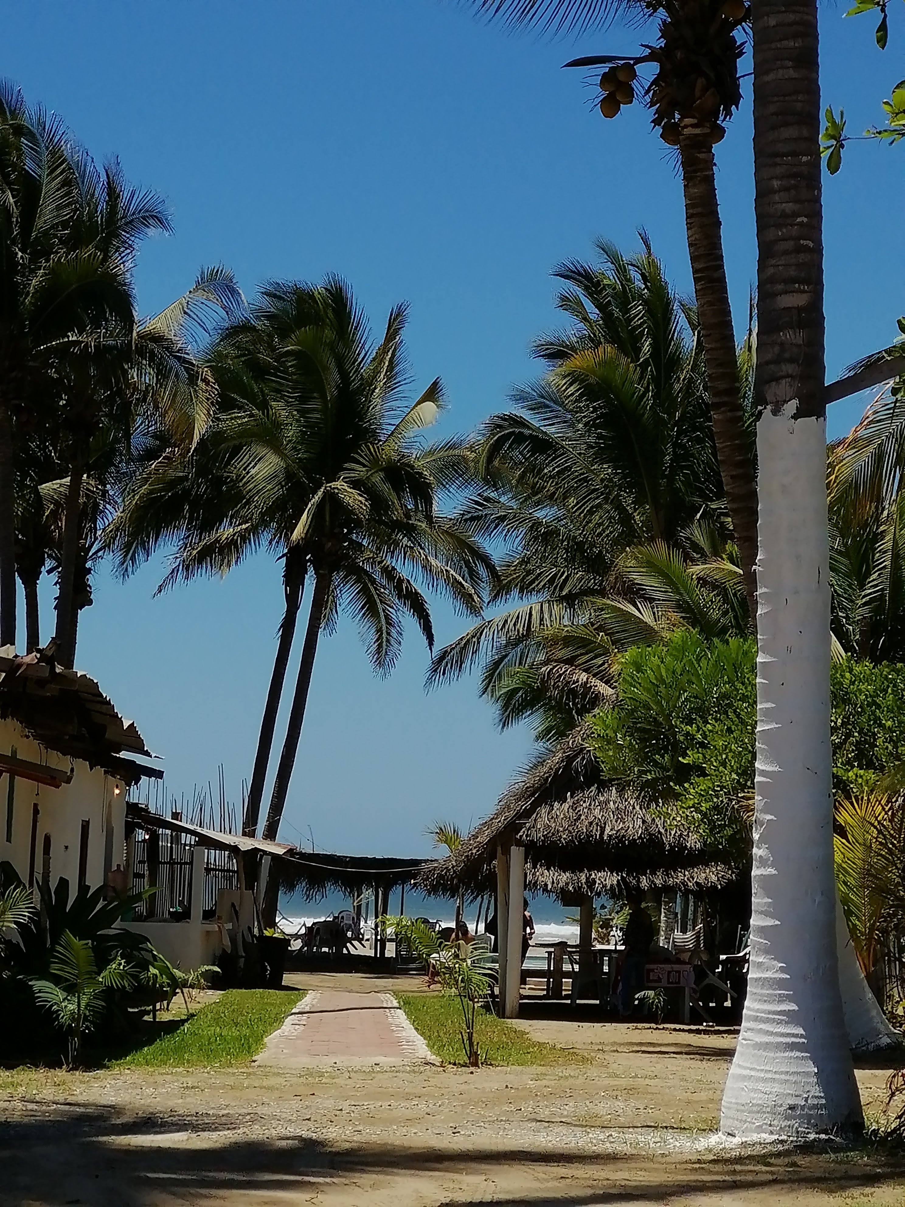 Akumal-Restaurant Bar image 3
