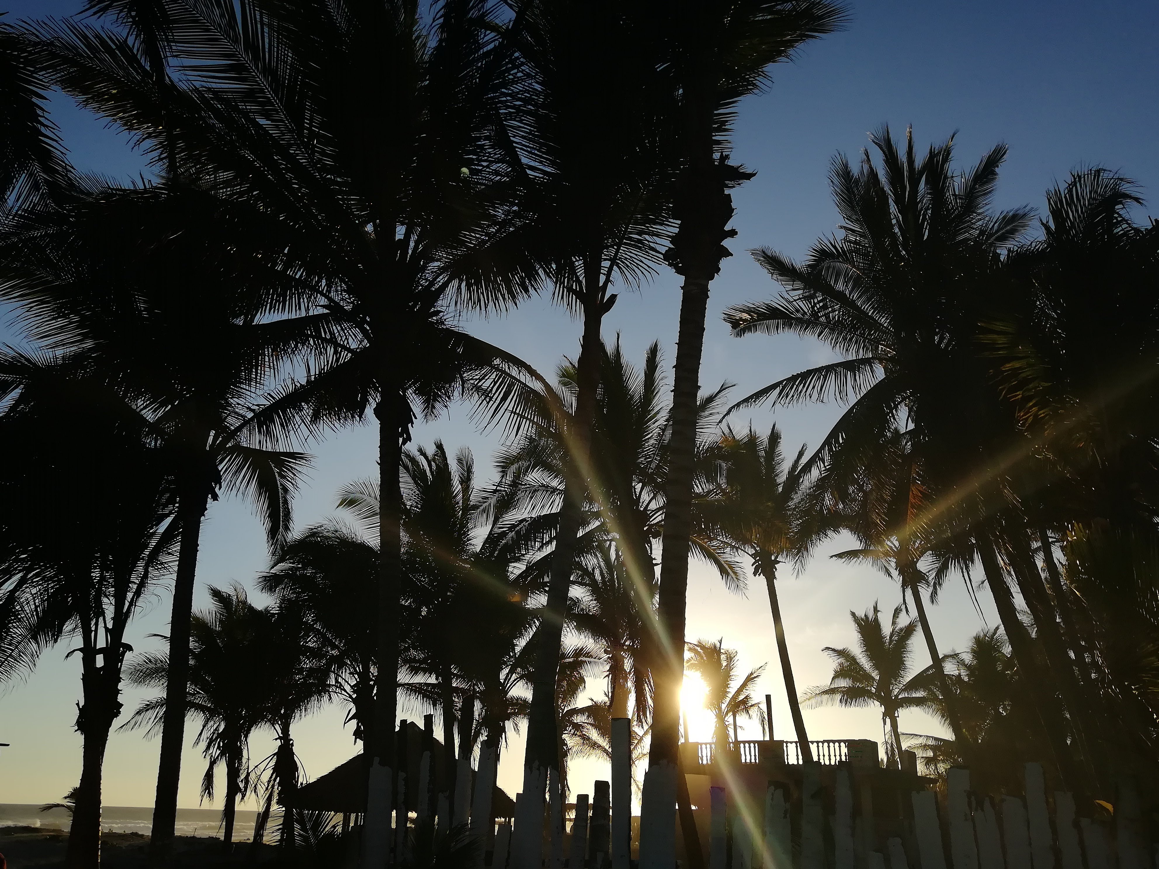 Akumal-Restaurant Bar image 7