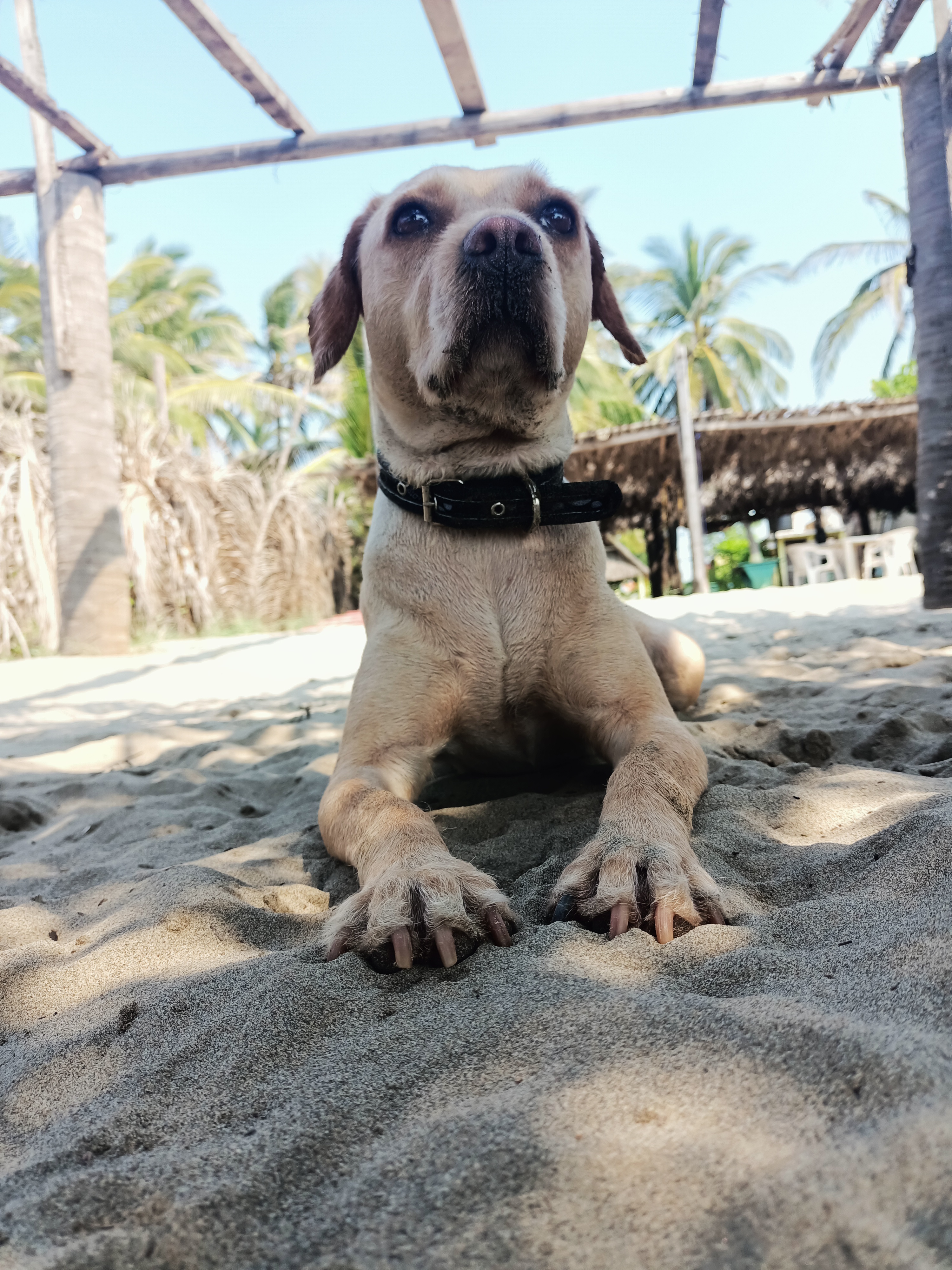 Akumal-Restaurant Bar image 8