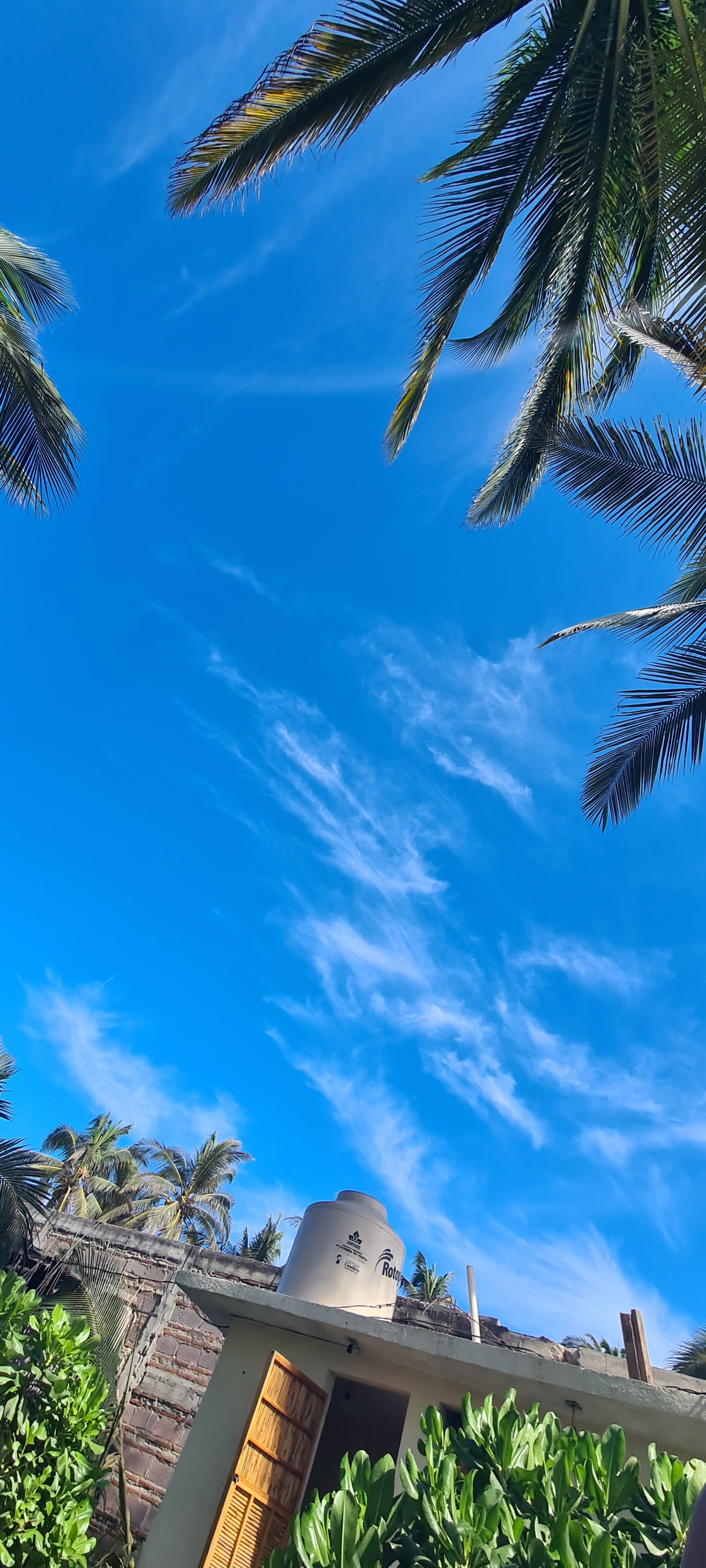 Akumal-Restaurant Bar image 10