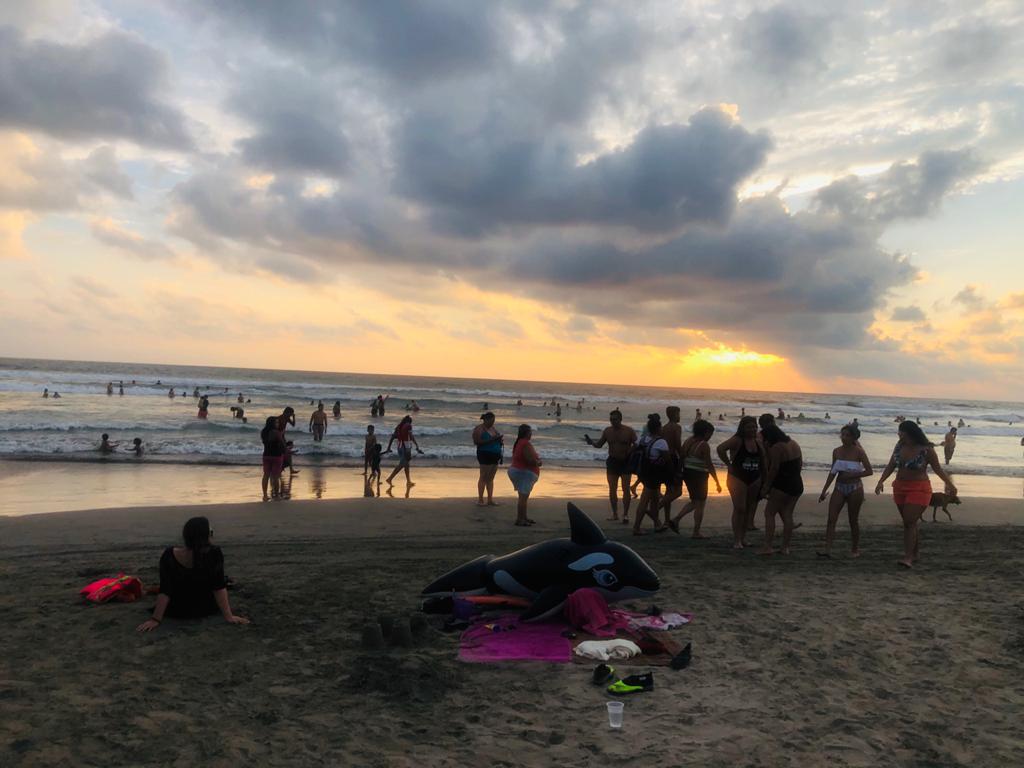 Vista Mar Restaurant - Bar image 3