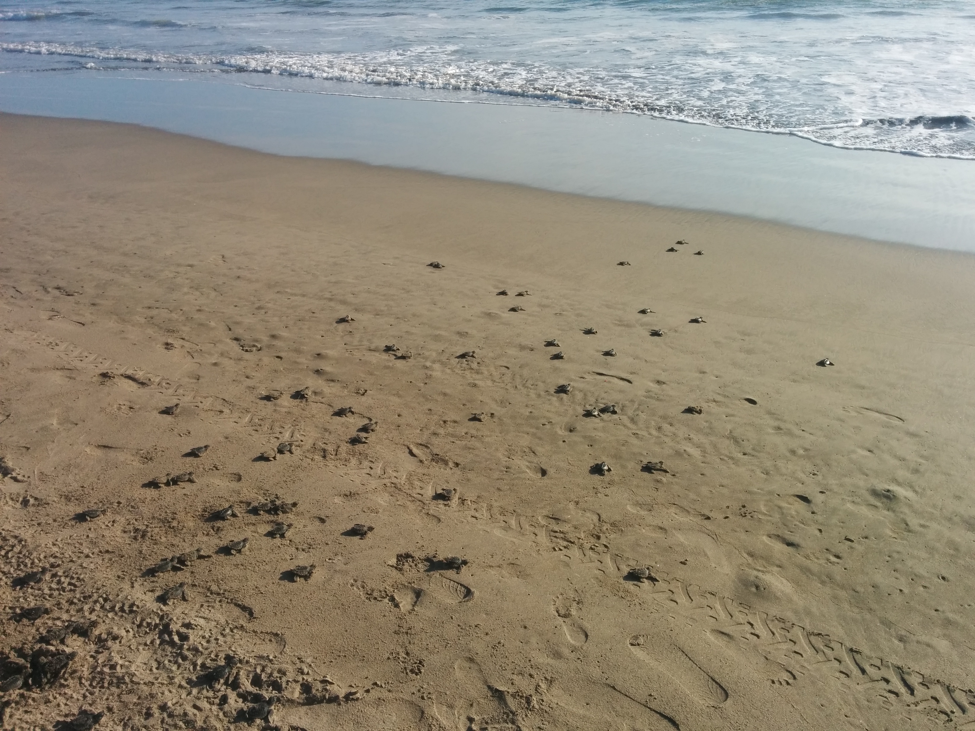 Vista Mar Restaurant - Bar image 6