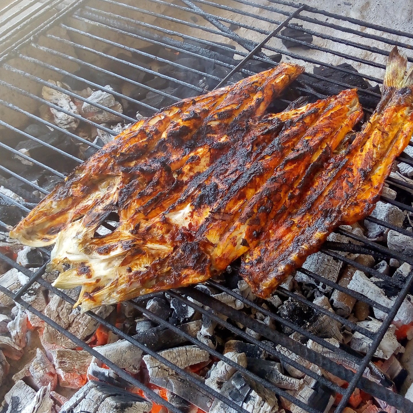 El Pulpo Restaurant-Bar image 2