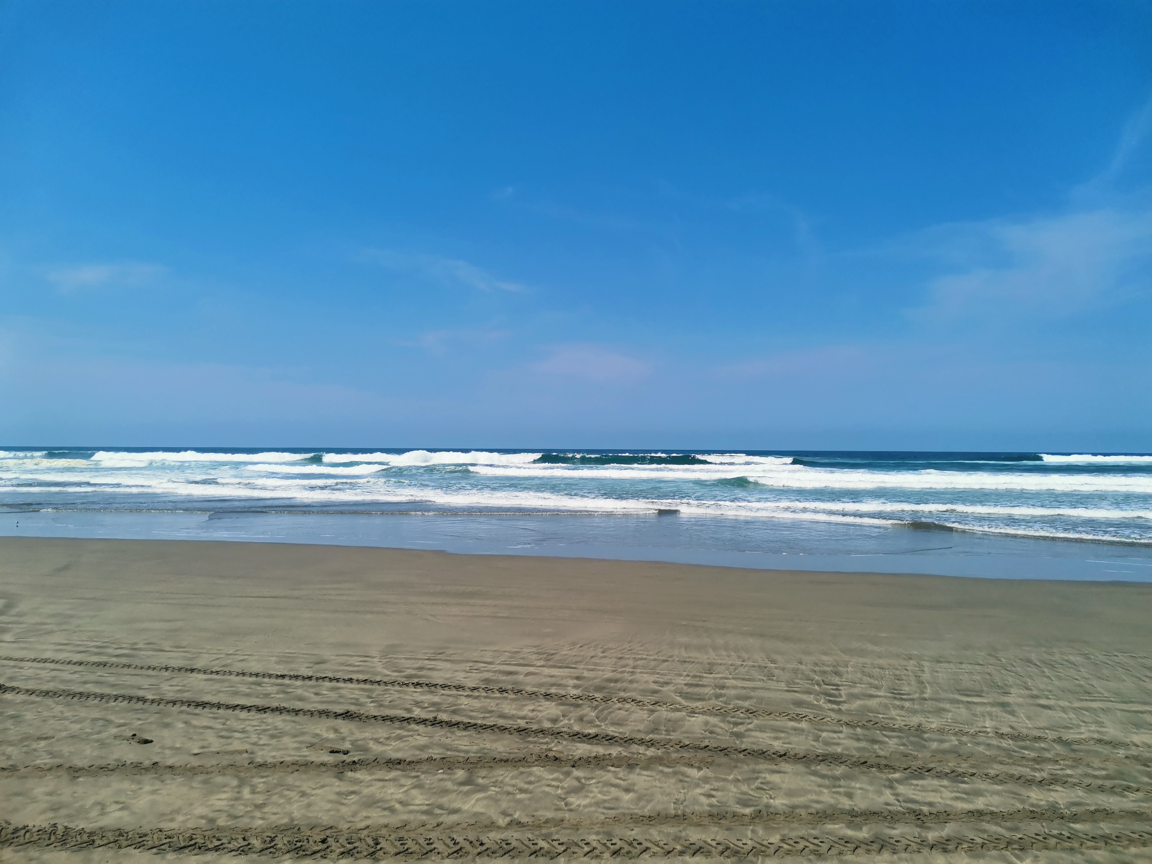 El Pulpo Restaurant-Bar image 5