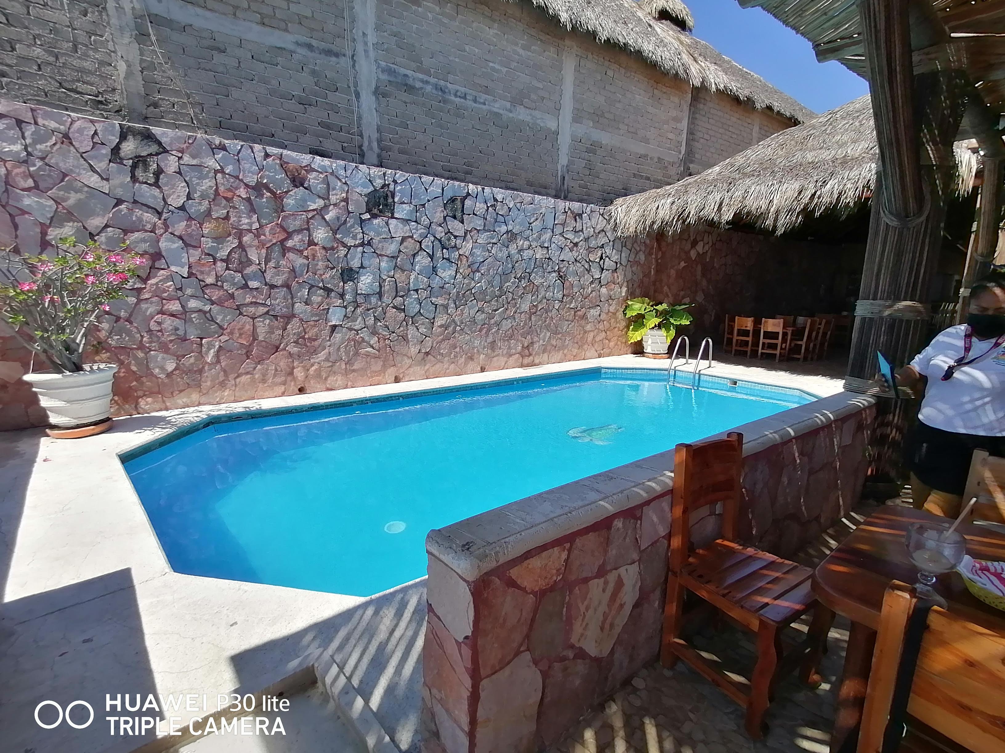 El Pulpo Restaurant-Bar image 10