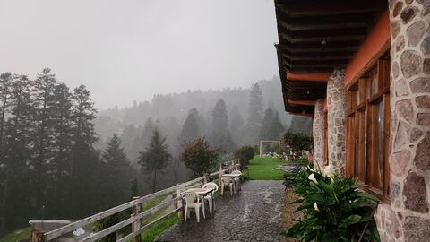 Restaurante Camino Real image 7