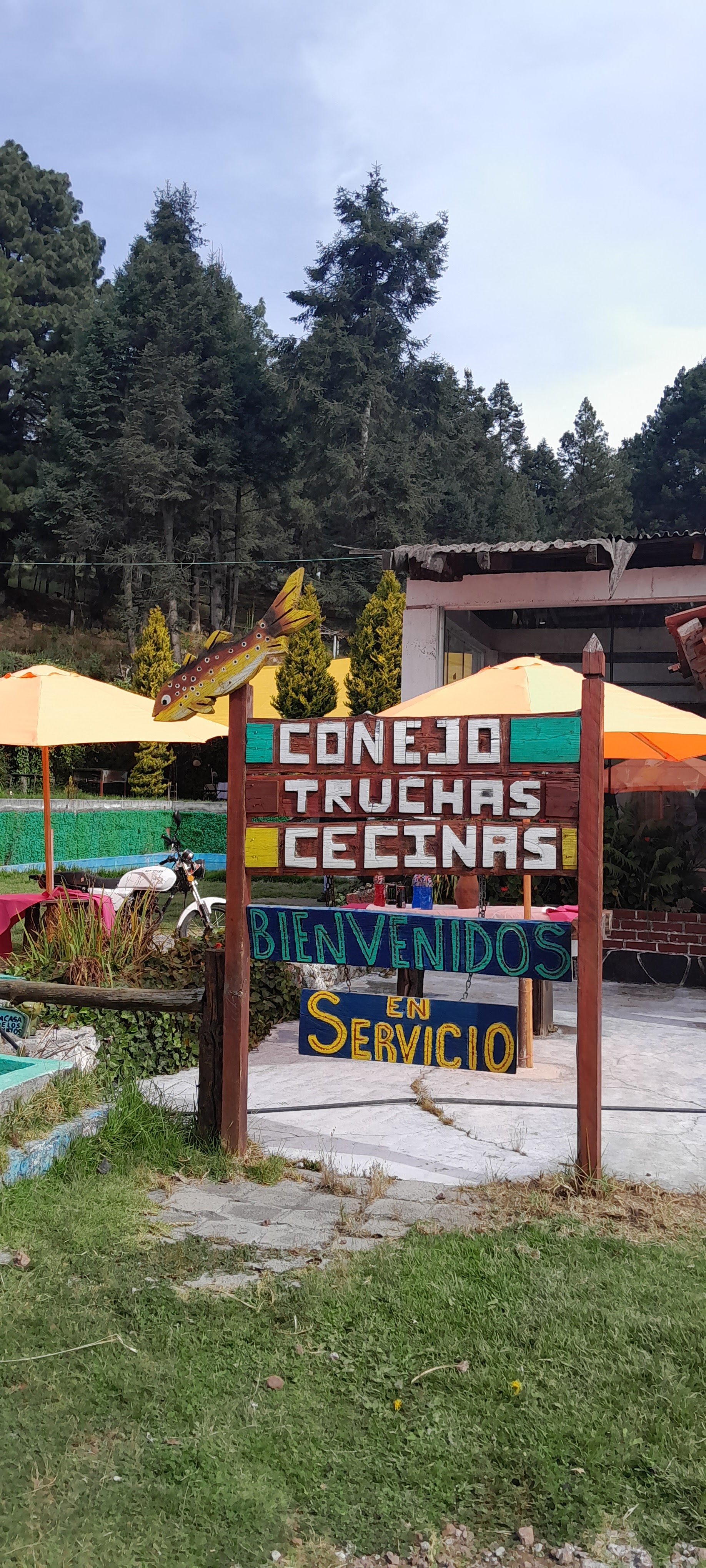 "Restaurante La Fogata" image 6