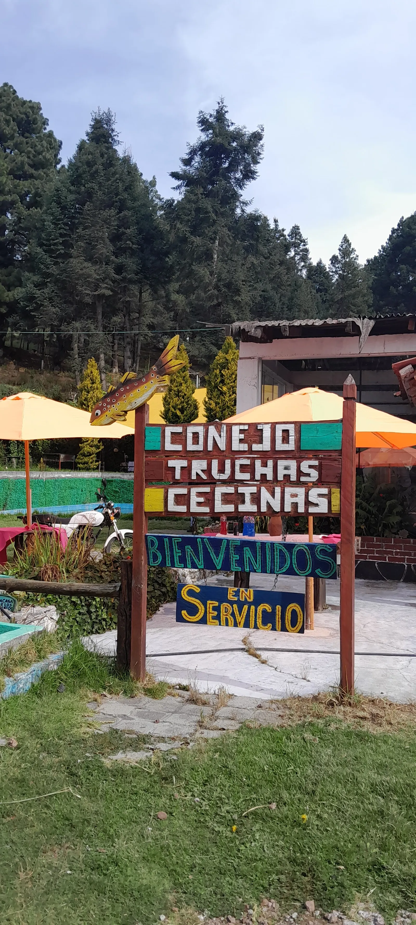 "Restaurante La Fogata" image 6