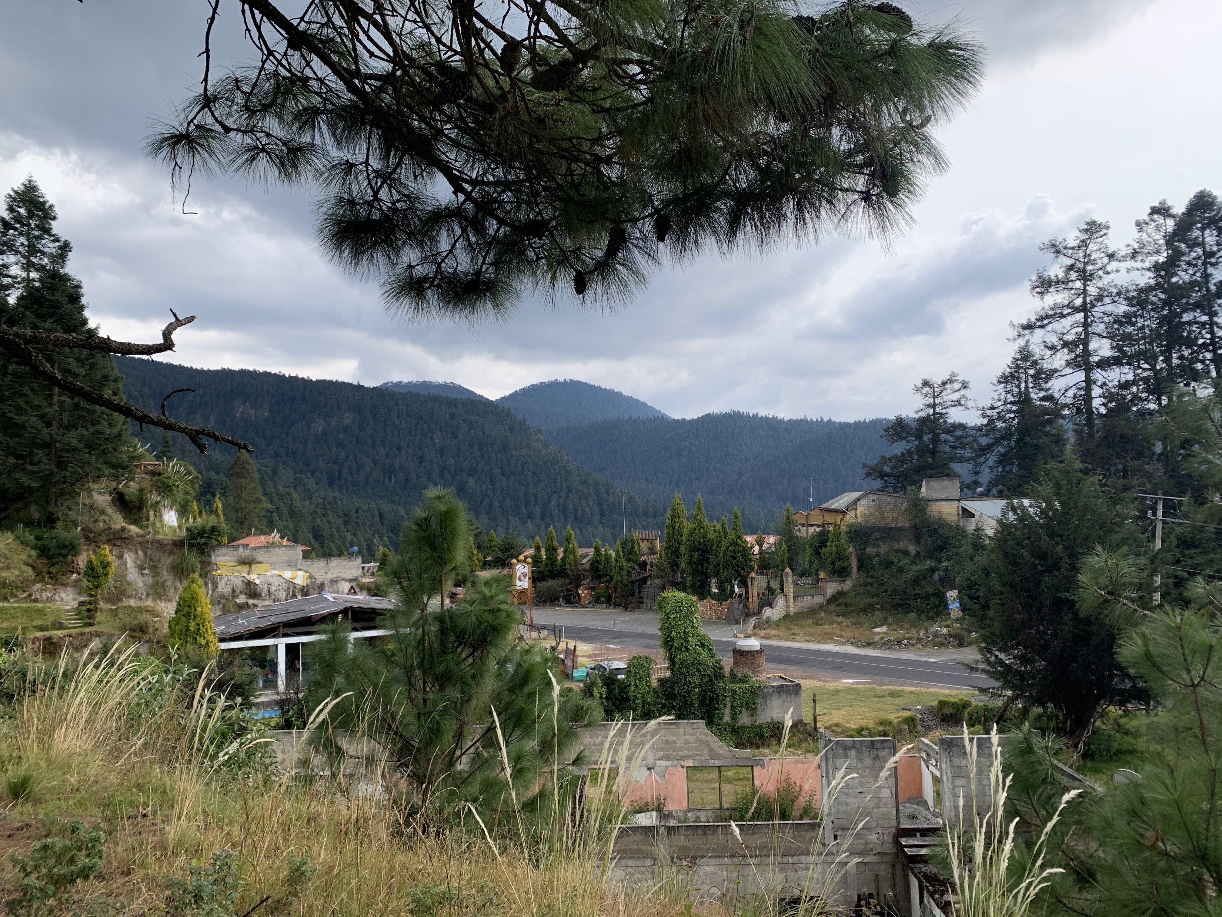 "Restaurante La Fogata" image 7