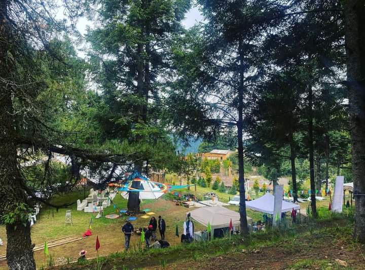 "Restaurante La Fogata" image 10