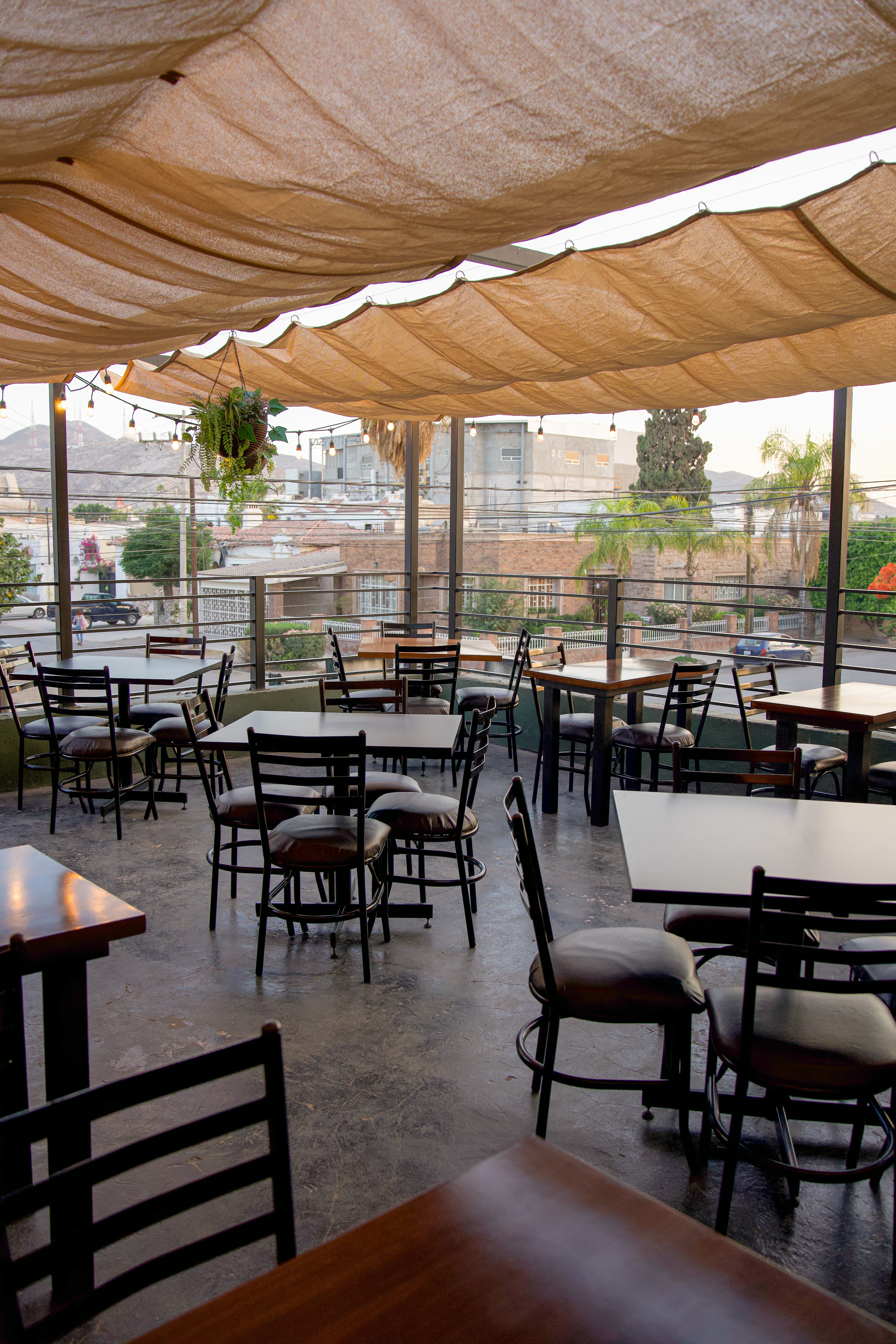 The Mezquite image 1