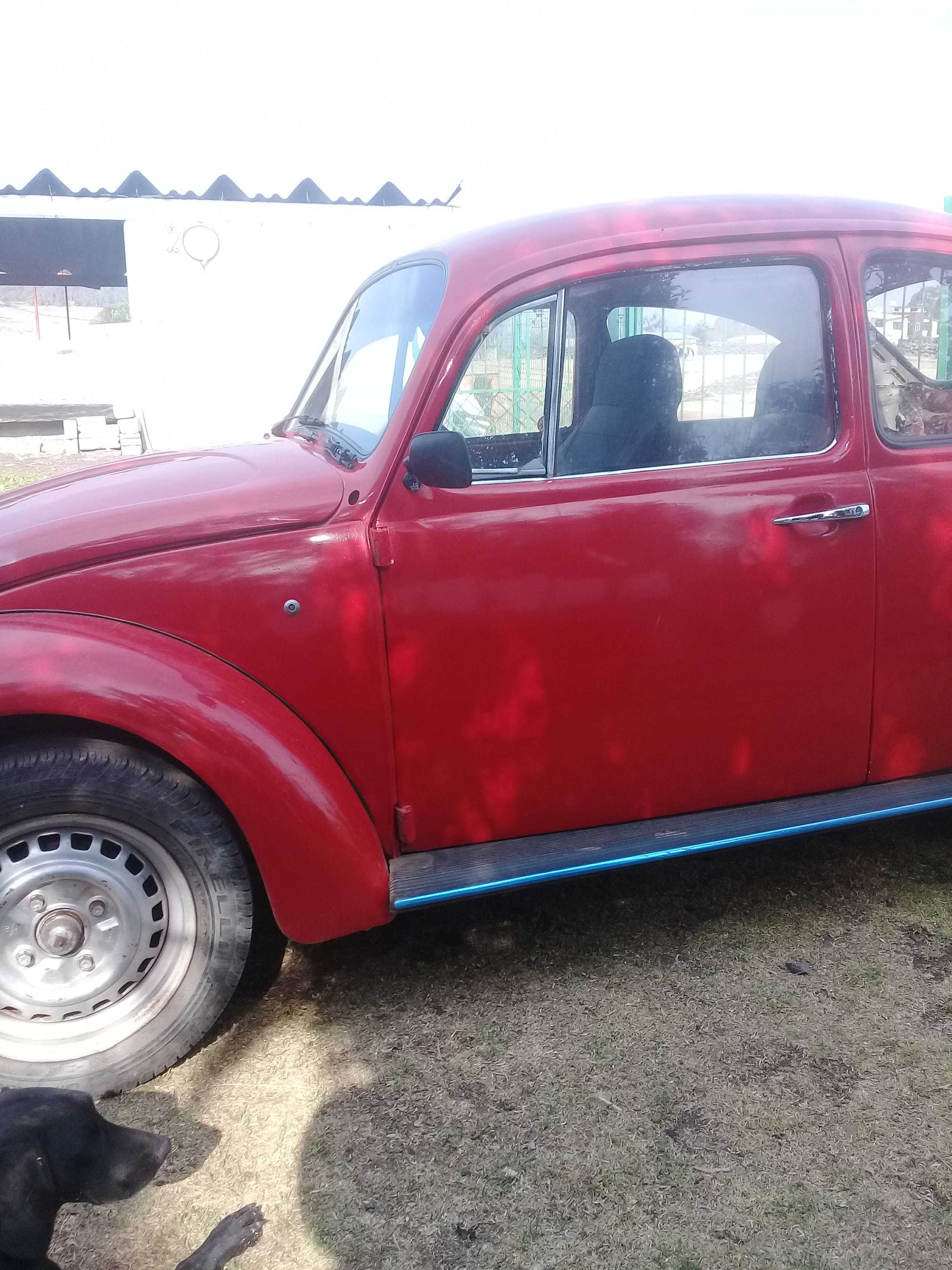 Richard's Pizzas image 4