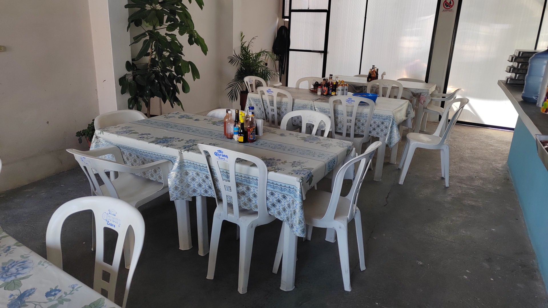 Los jarochos image 8