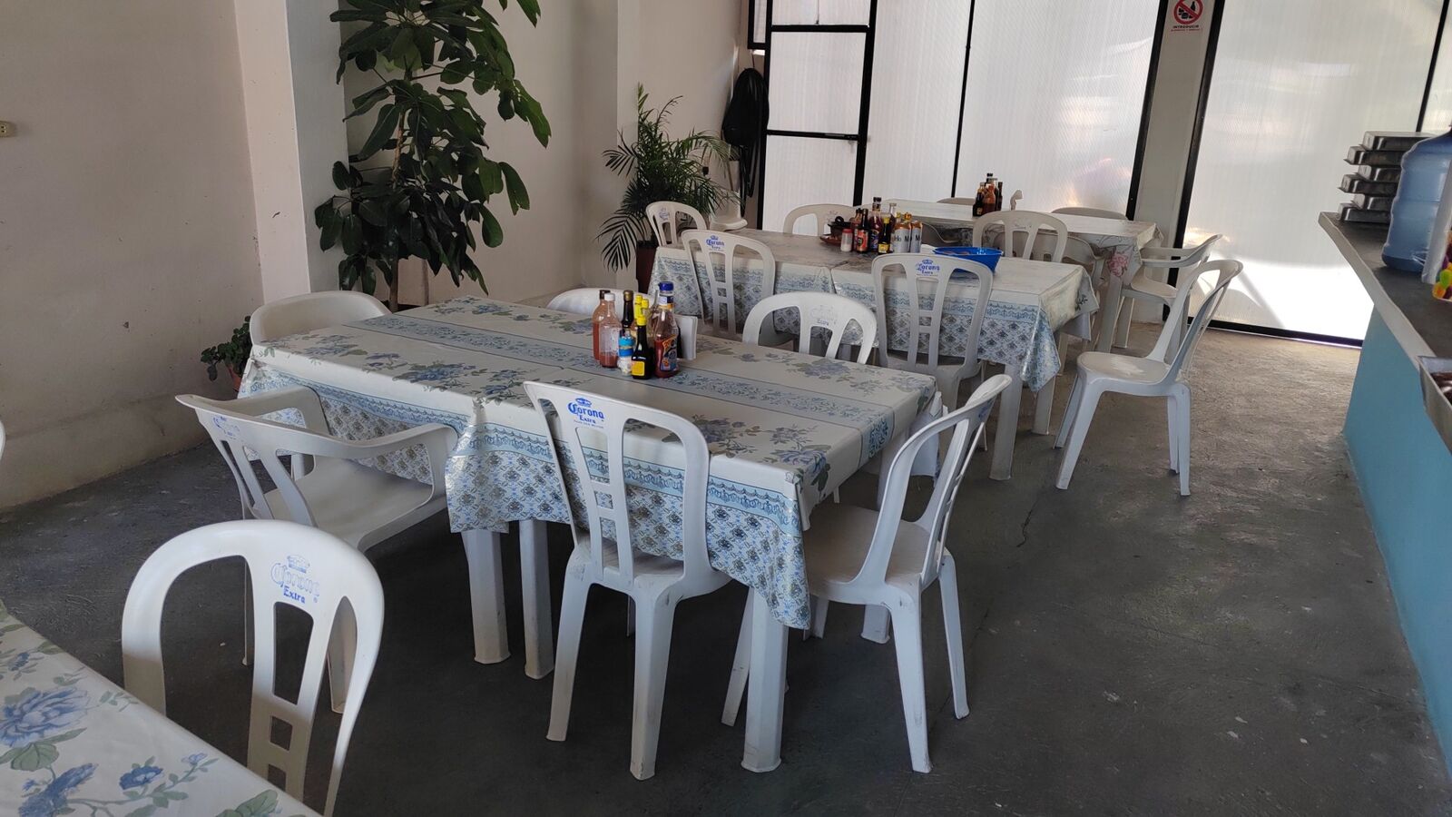 Los jarochos image 8