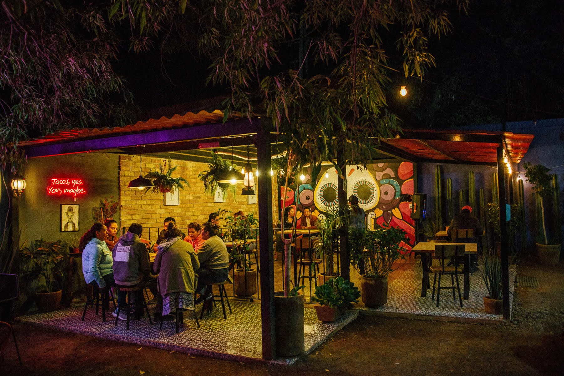 Taco Calavera image 4