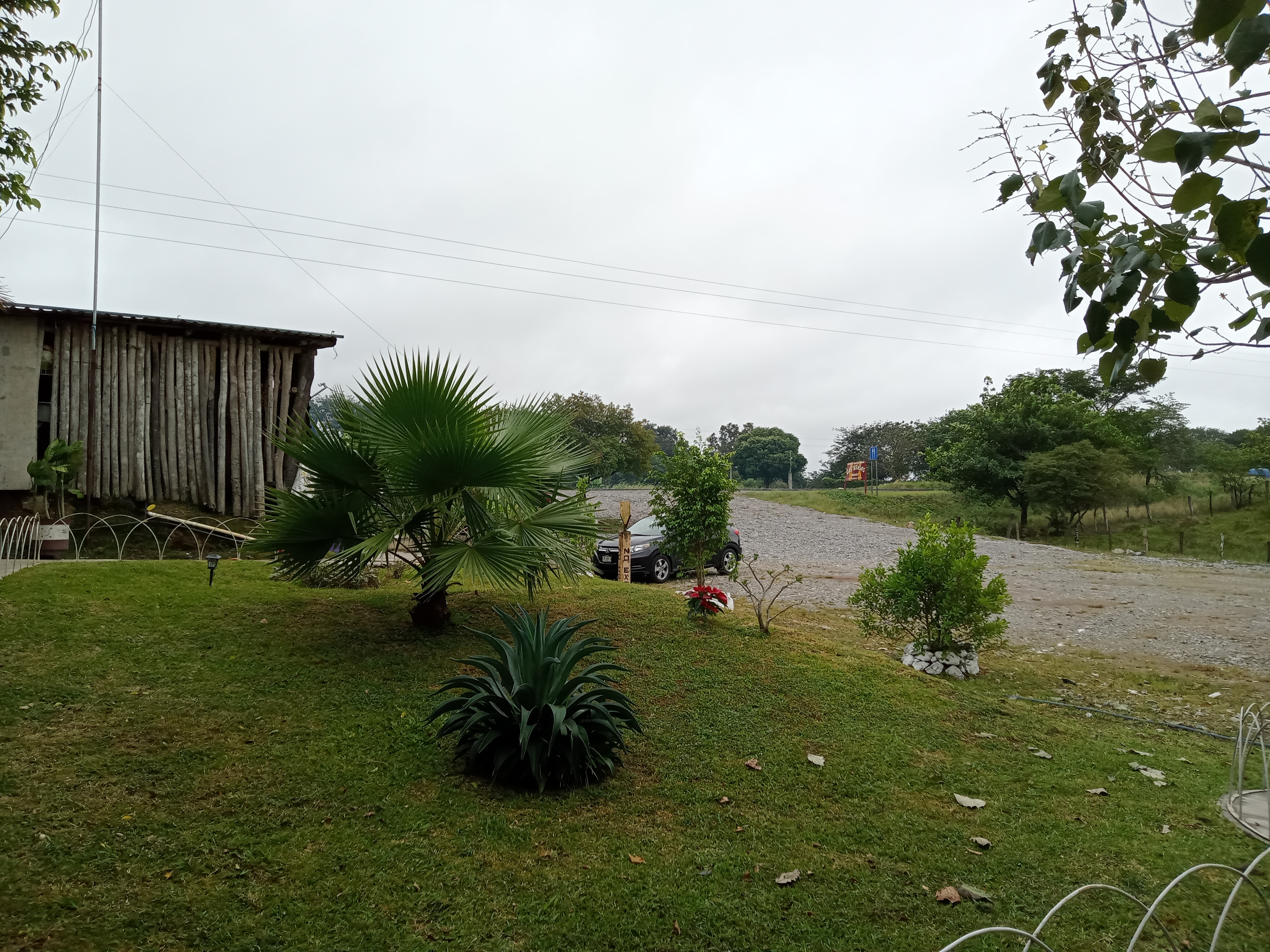 Las Brasas image 10