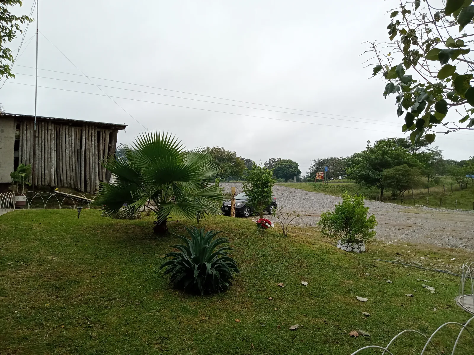 Las Brasas image 10
