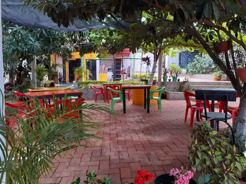 Manguito tino image 1