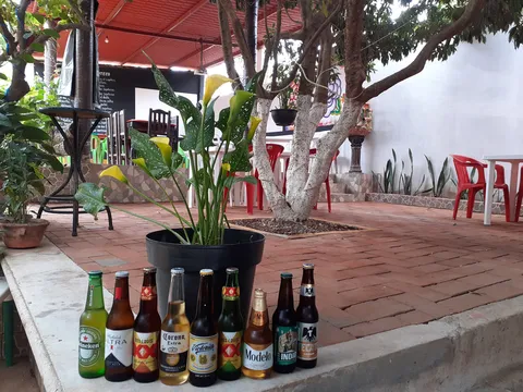 Manguito tino image 3