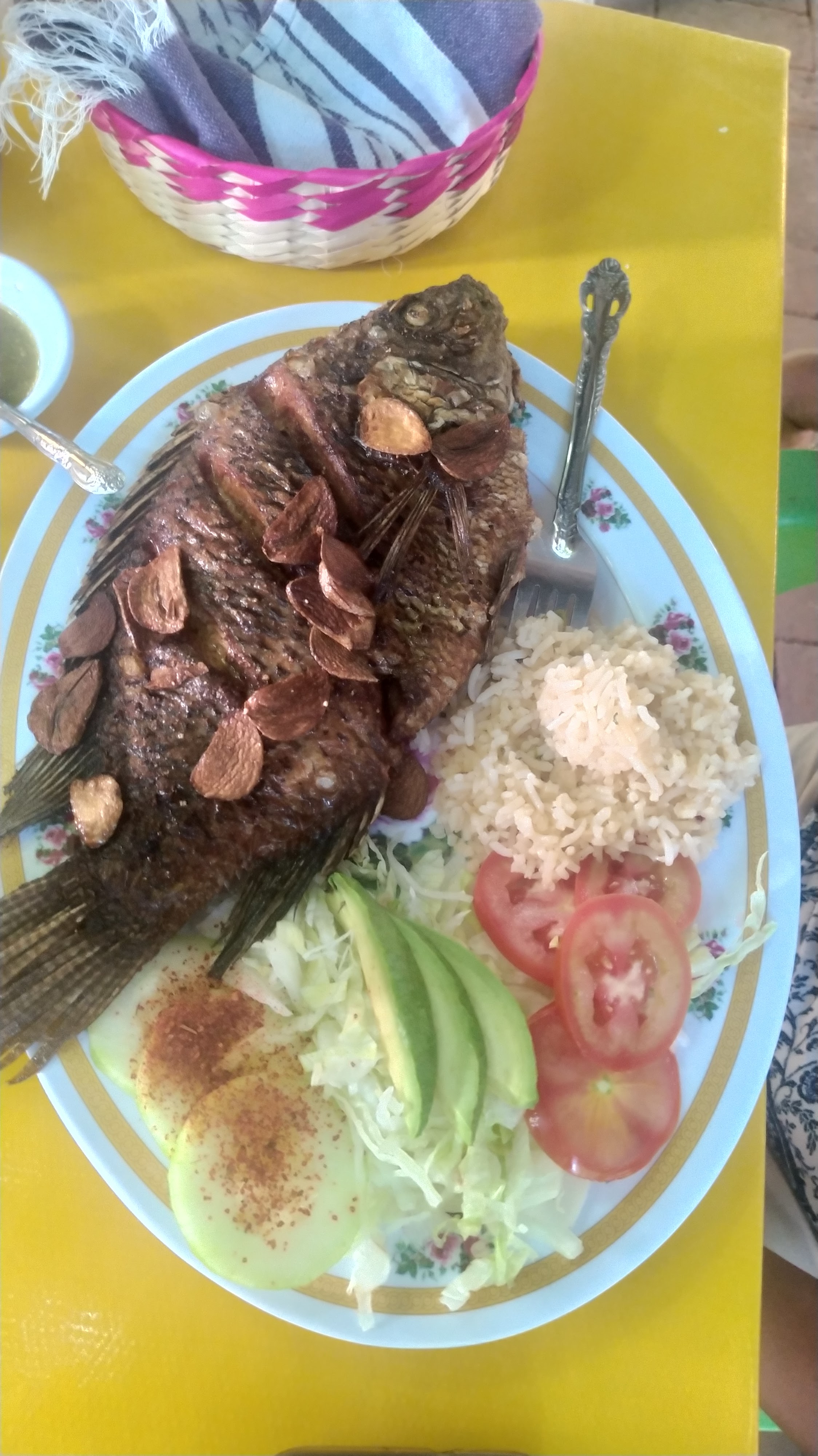 Manguito tino image 4