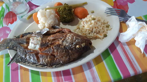 Mojarras del negro image 2