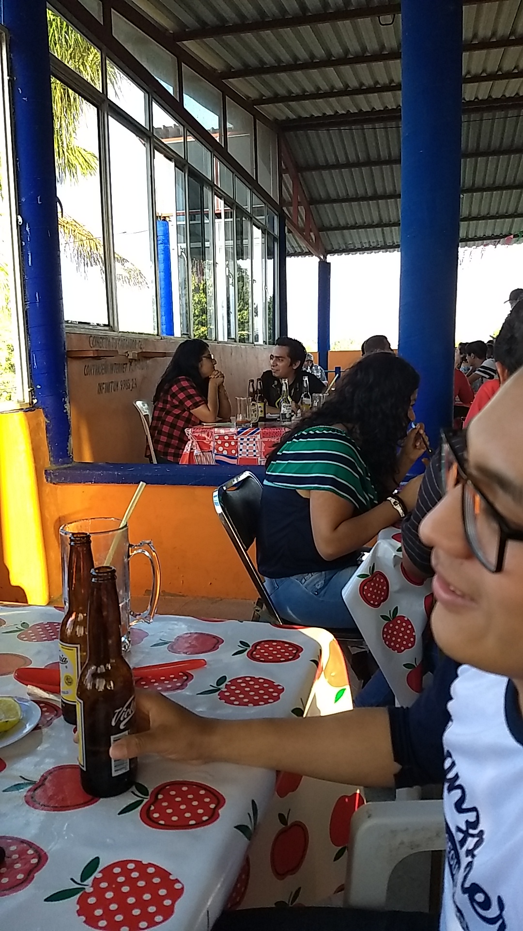 Mojarras del negro image 9