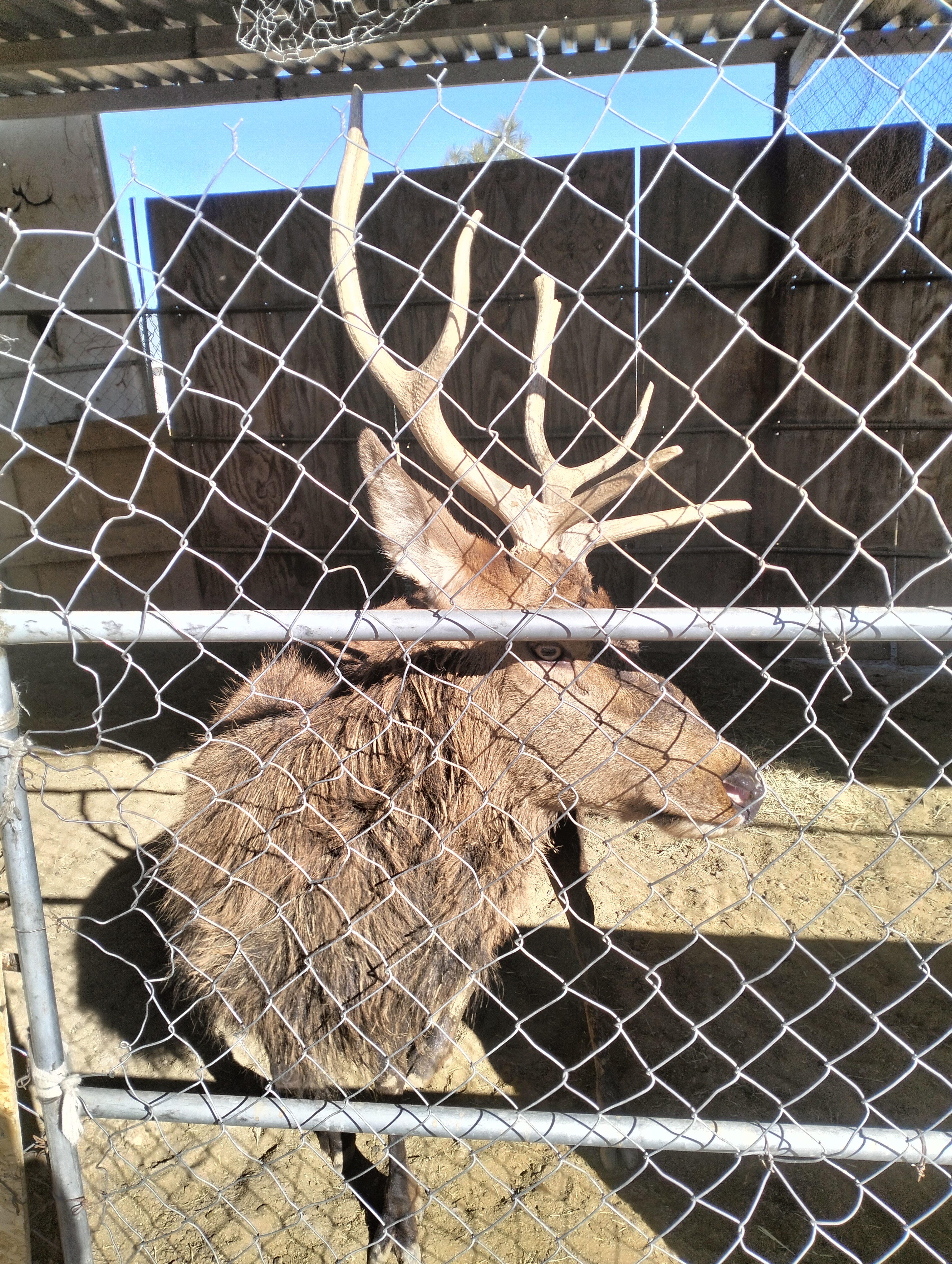 La granja del Tío juan image 9