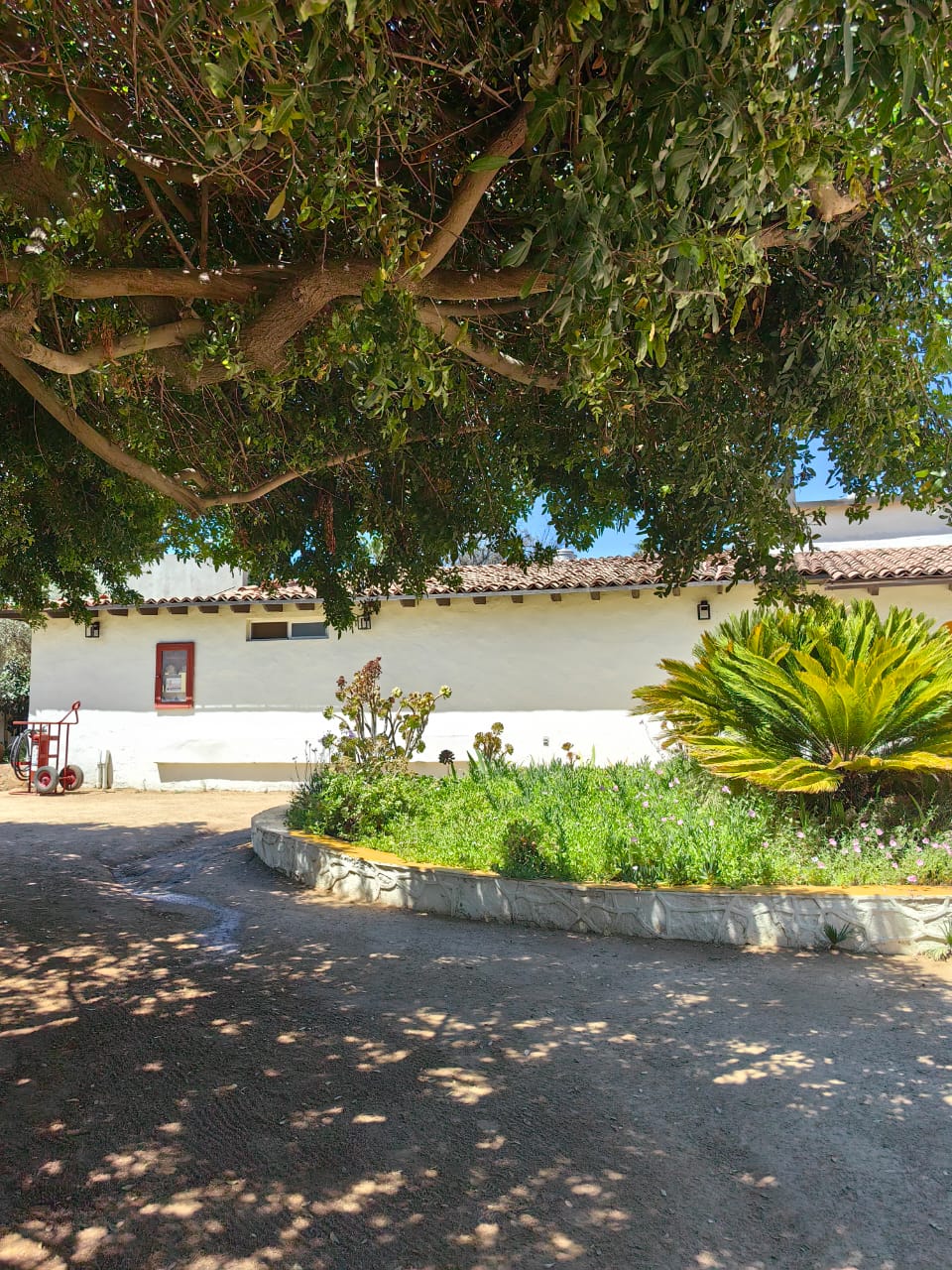 Puerta Norte image 5