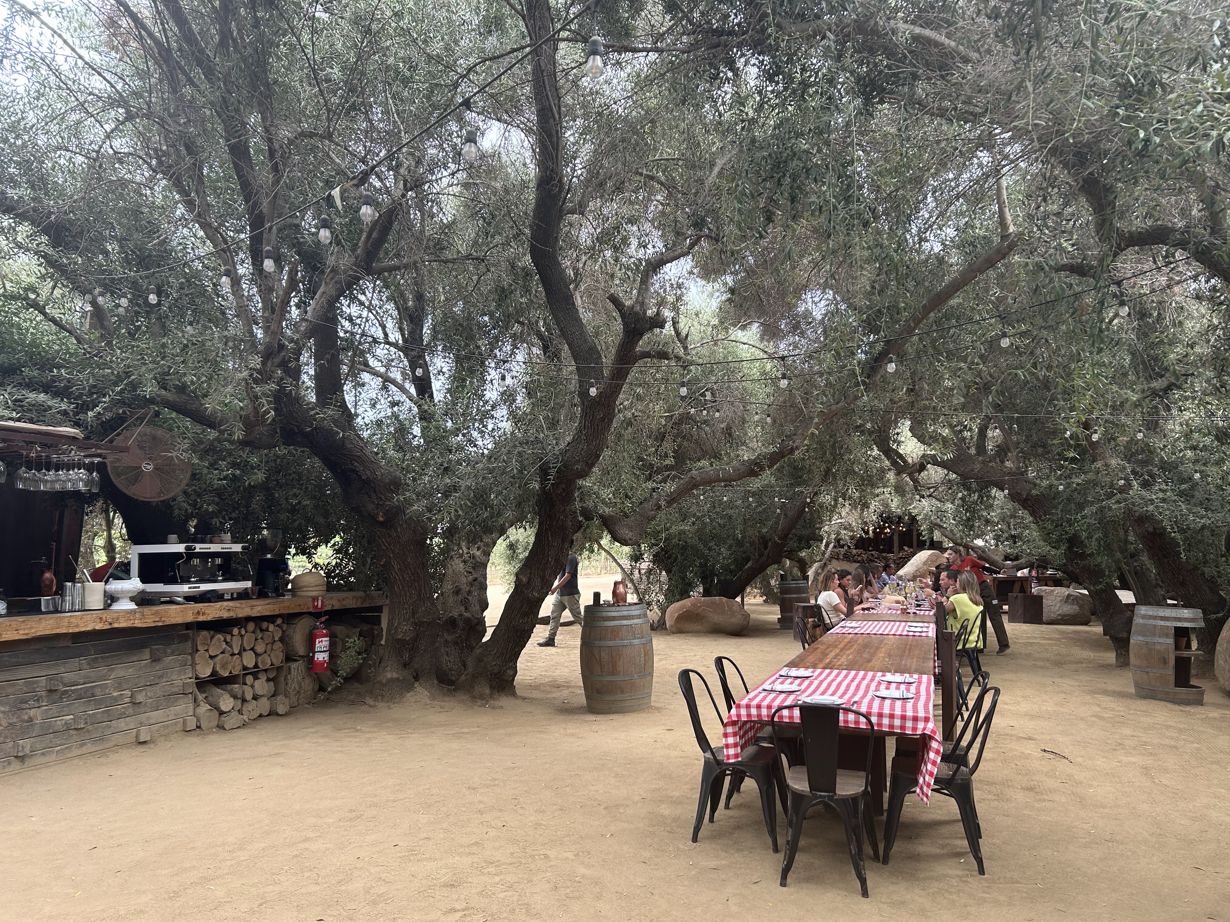 Bruma Wine Garden image 6