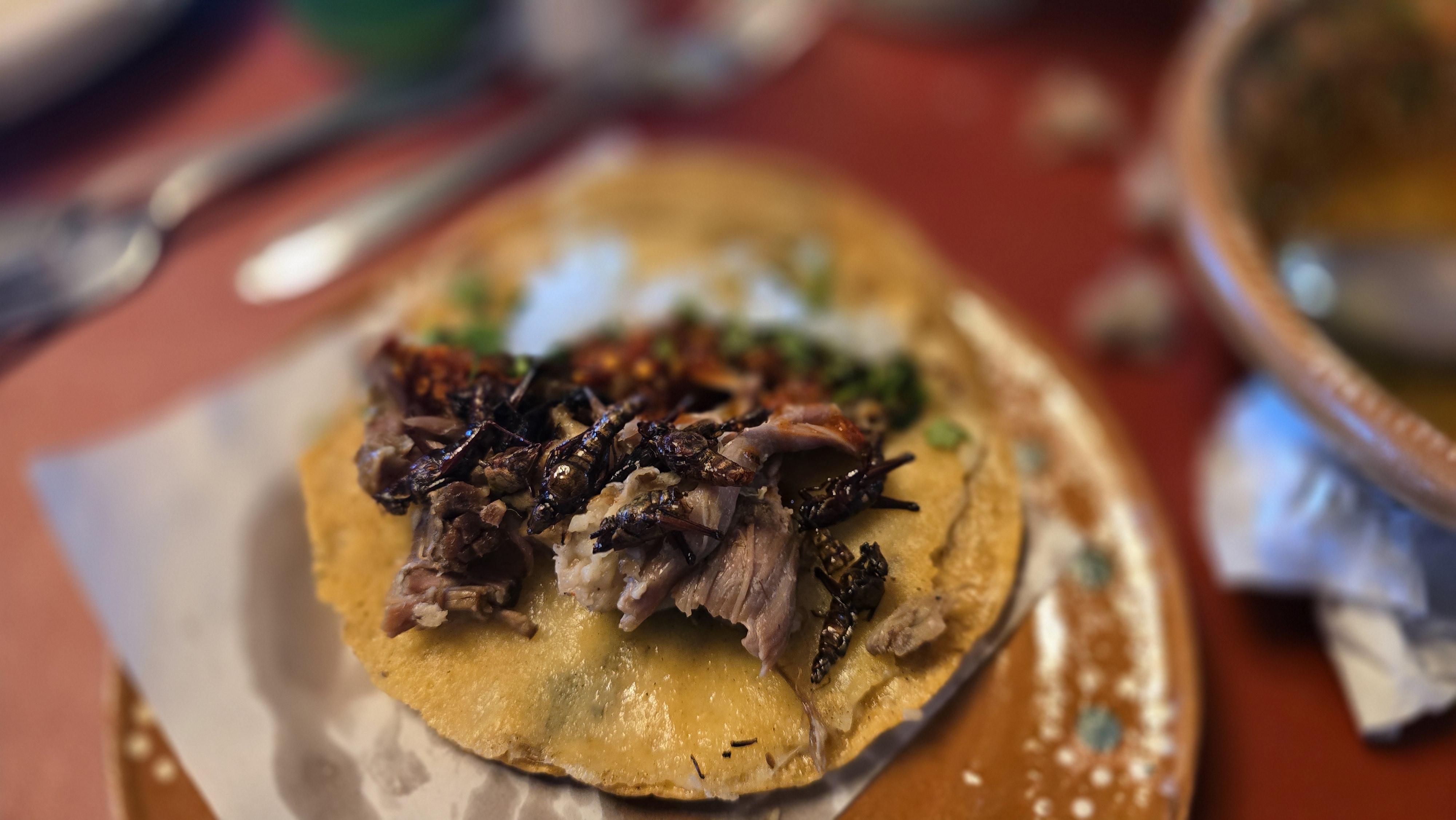 Barbacoa Cimarrón image 2