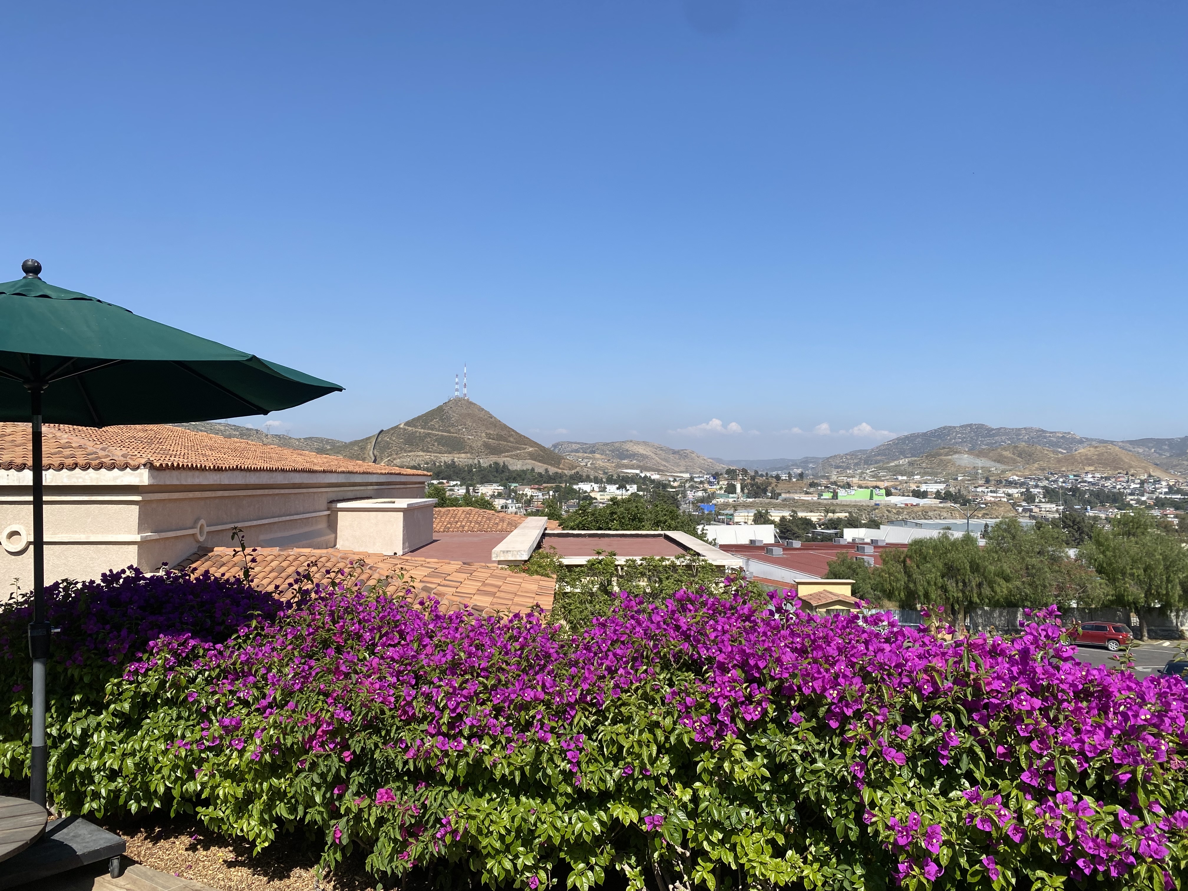 Asao - Yiima image 4