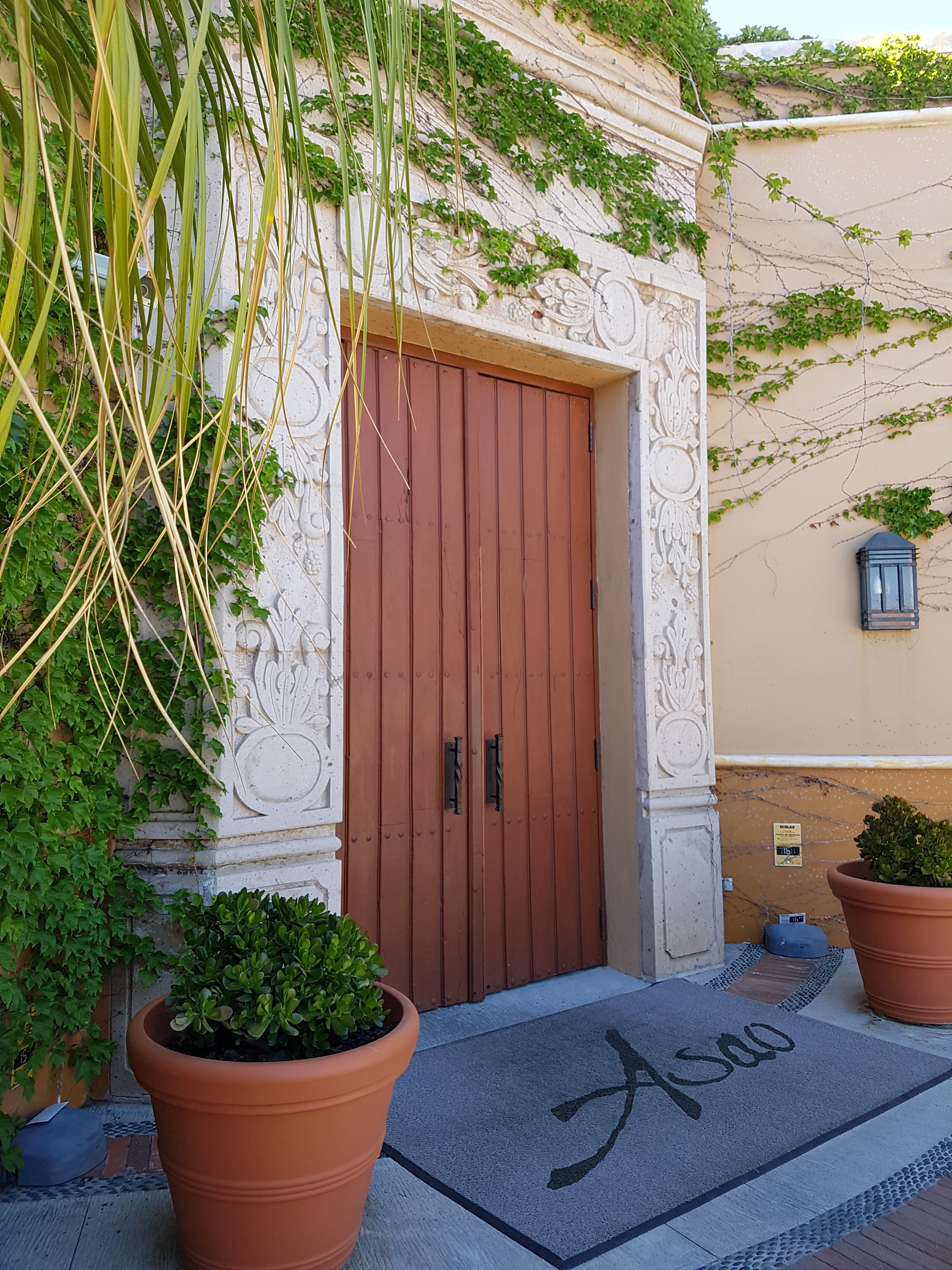 Asao - Yiima image 5