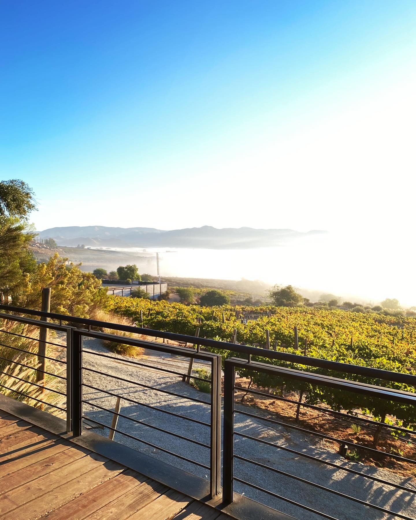 Jak Restaurante image 2