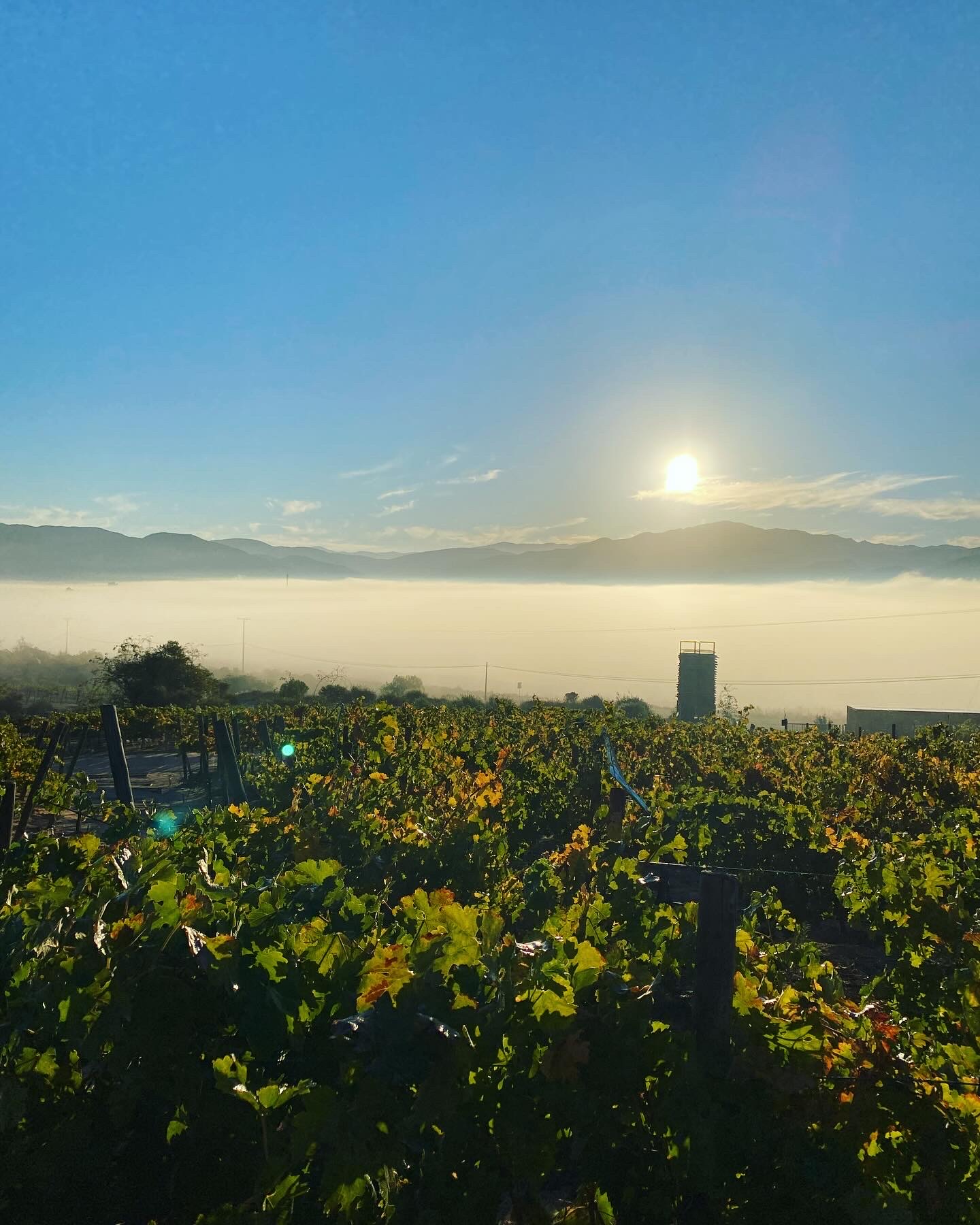 Jak Restaurante image 8